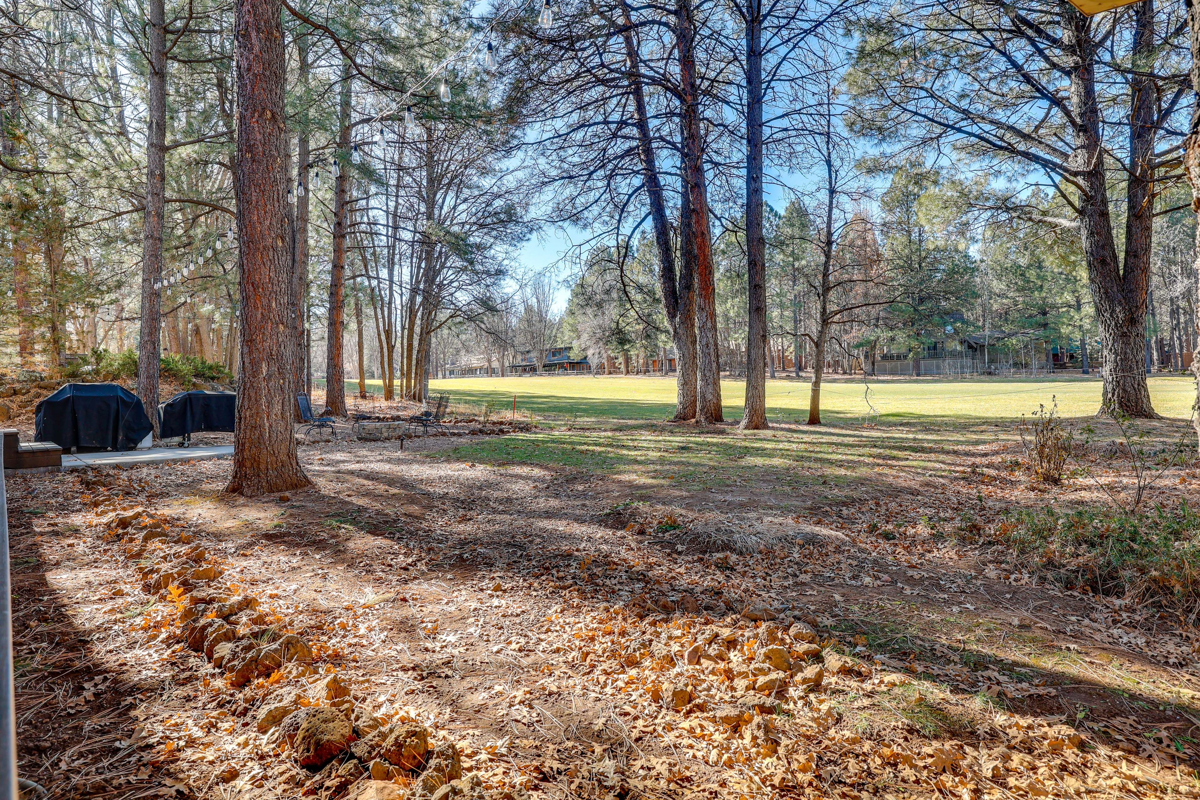 Private Yard | 2 Gas Grills