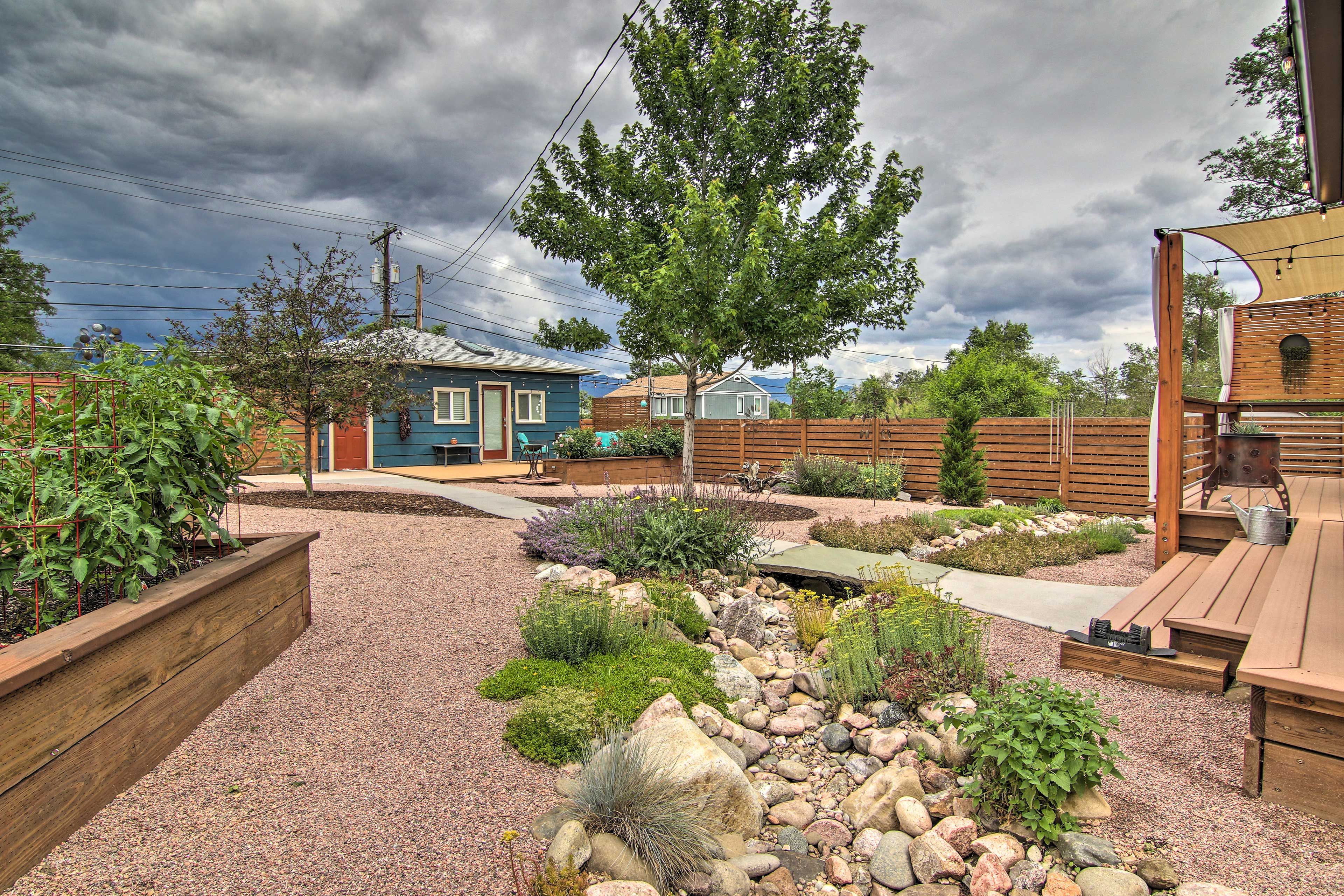 Backyard