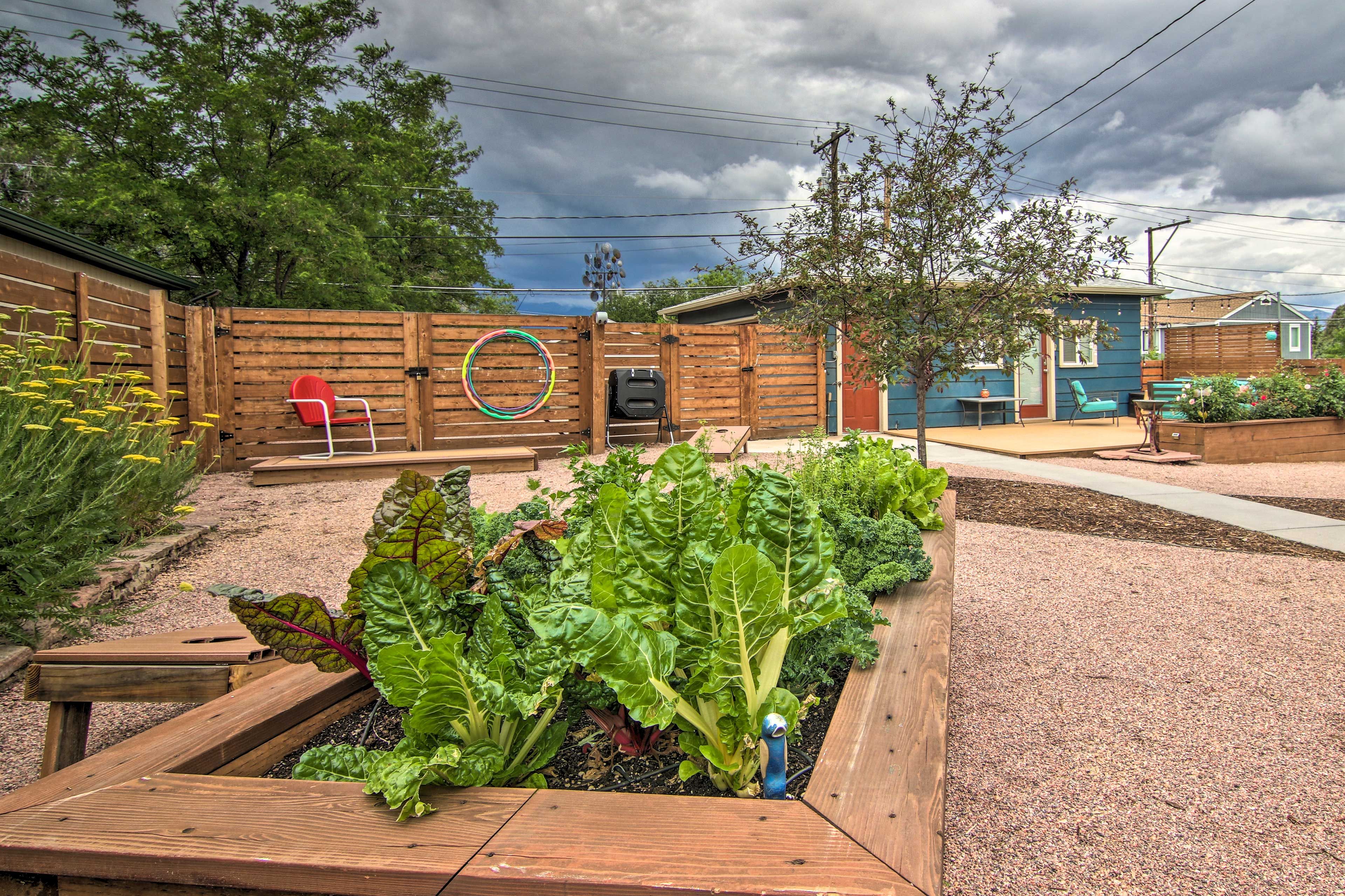 Backyard