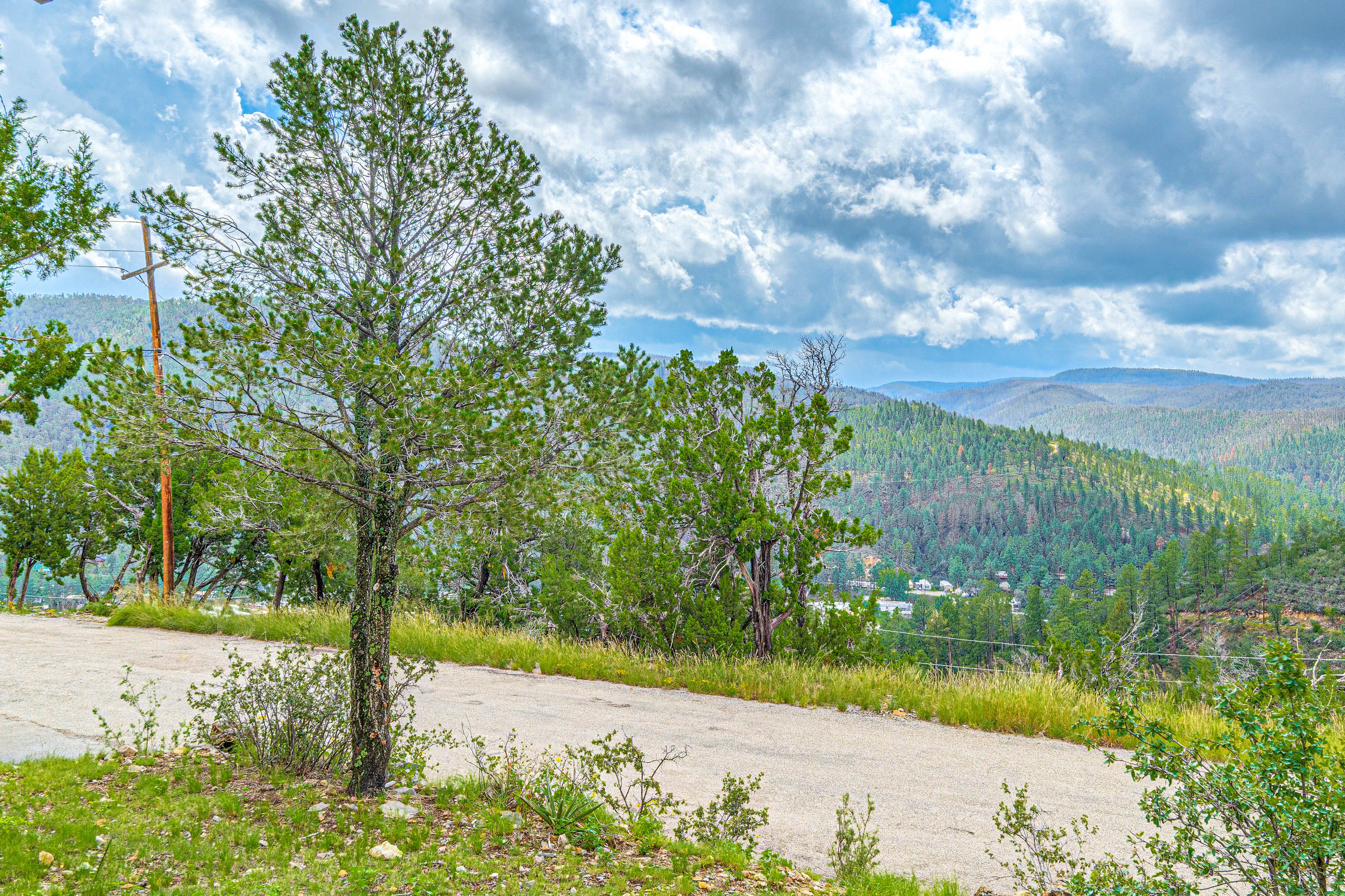 Property Views