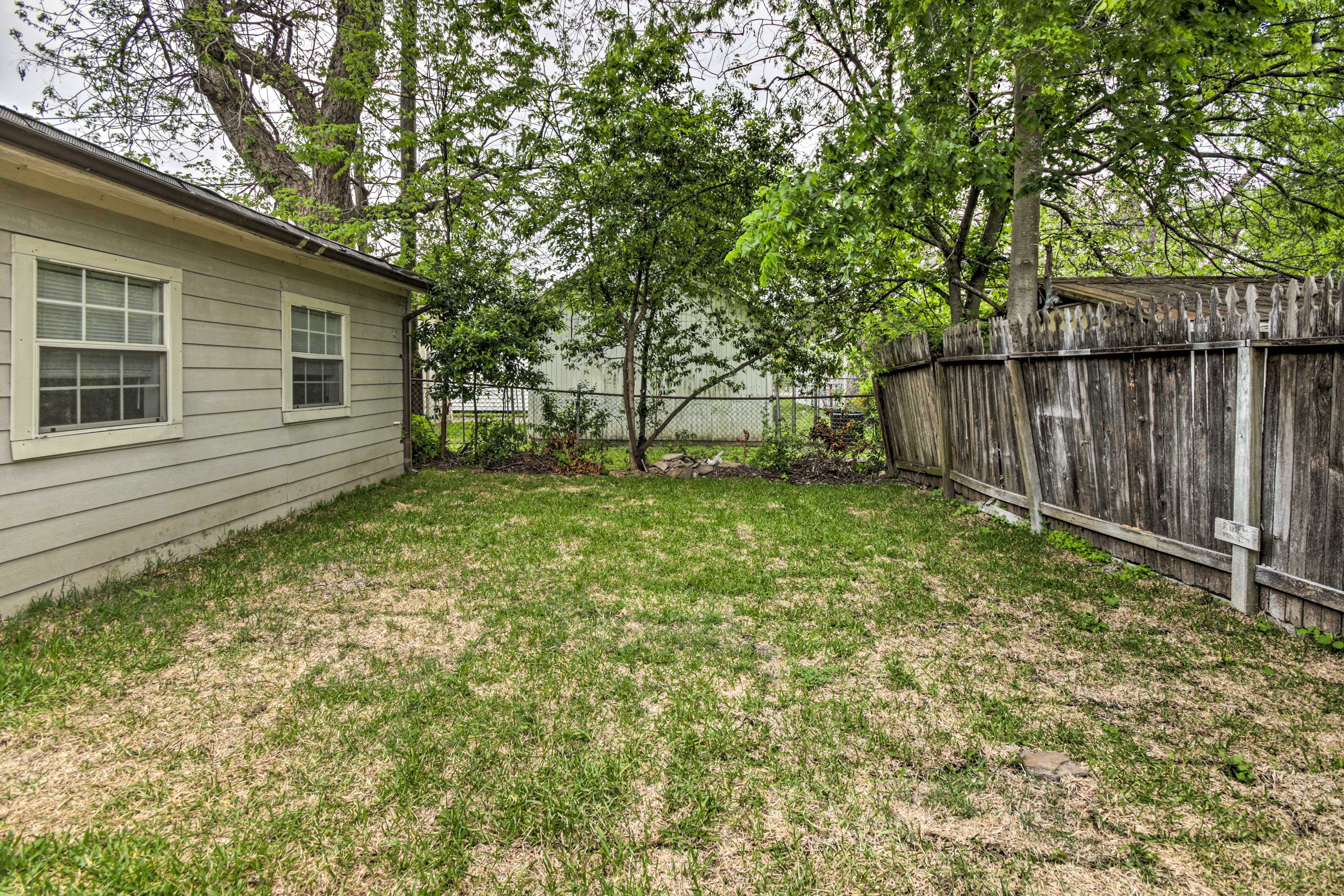 Shared Backyard