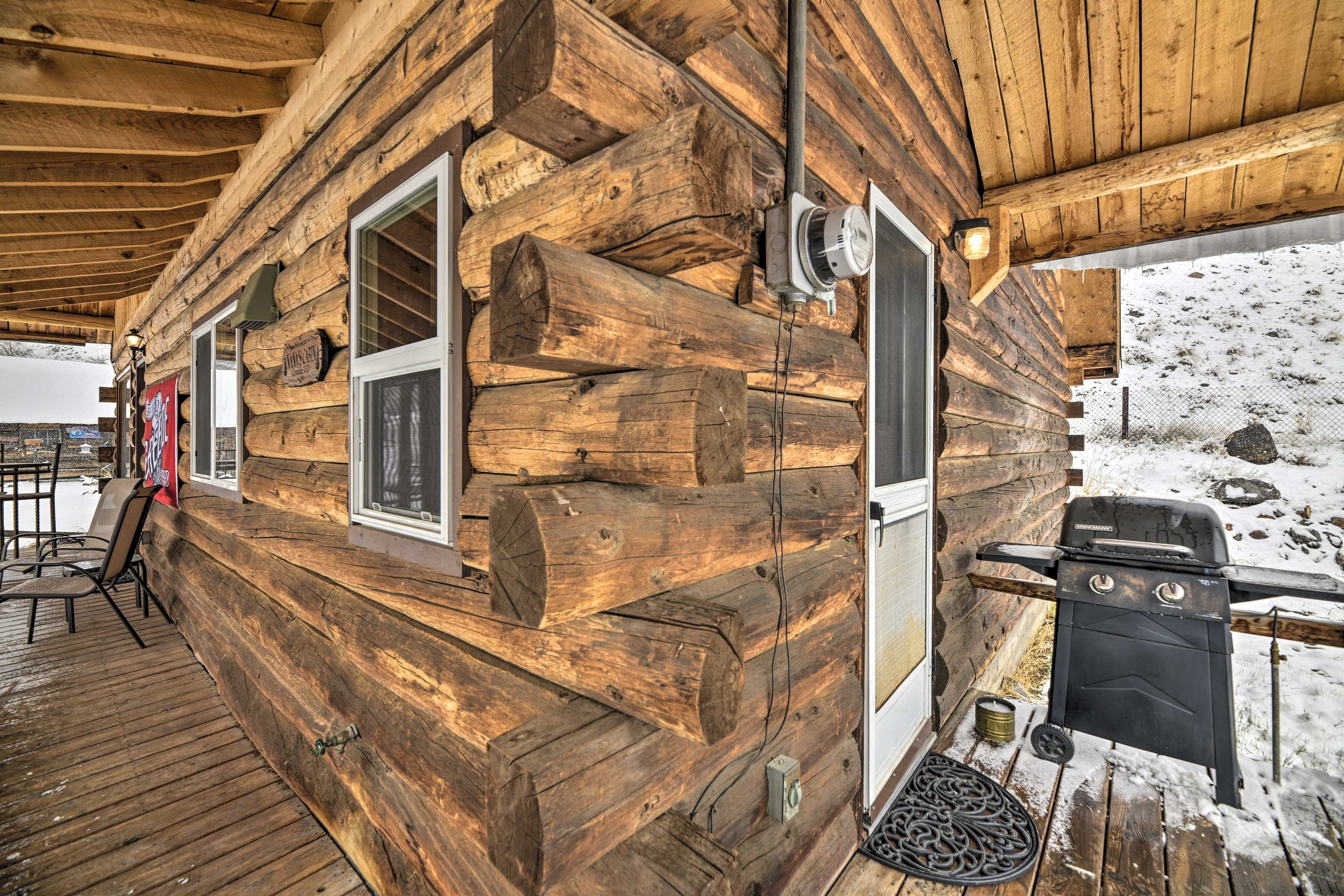 Deck | Gas Grill