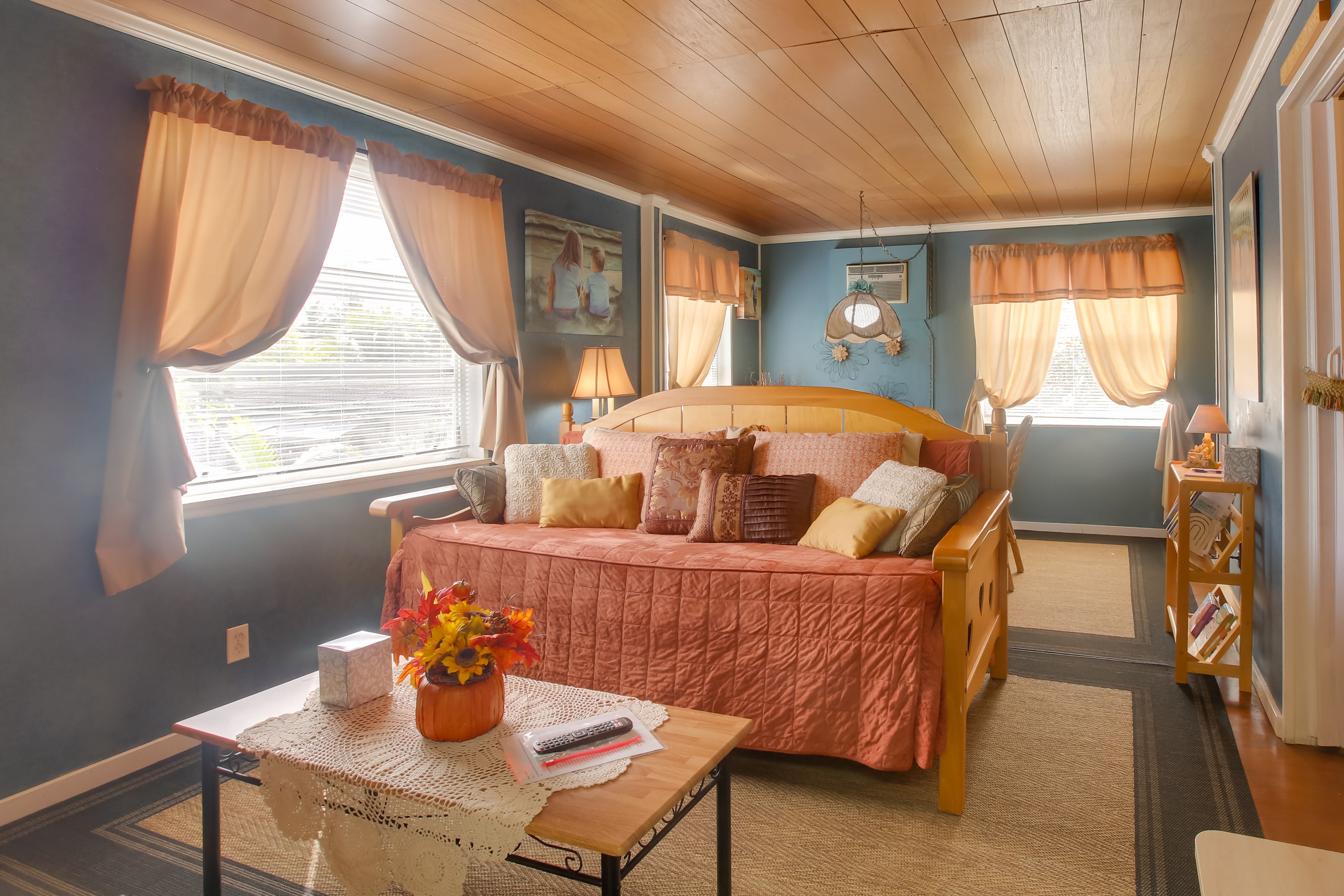 Living Room | Twin Daybed | Smart TV