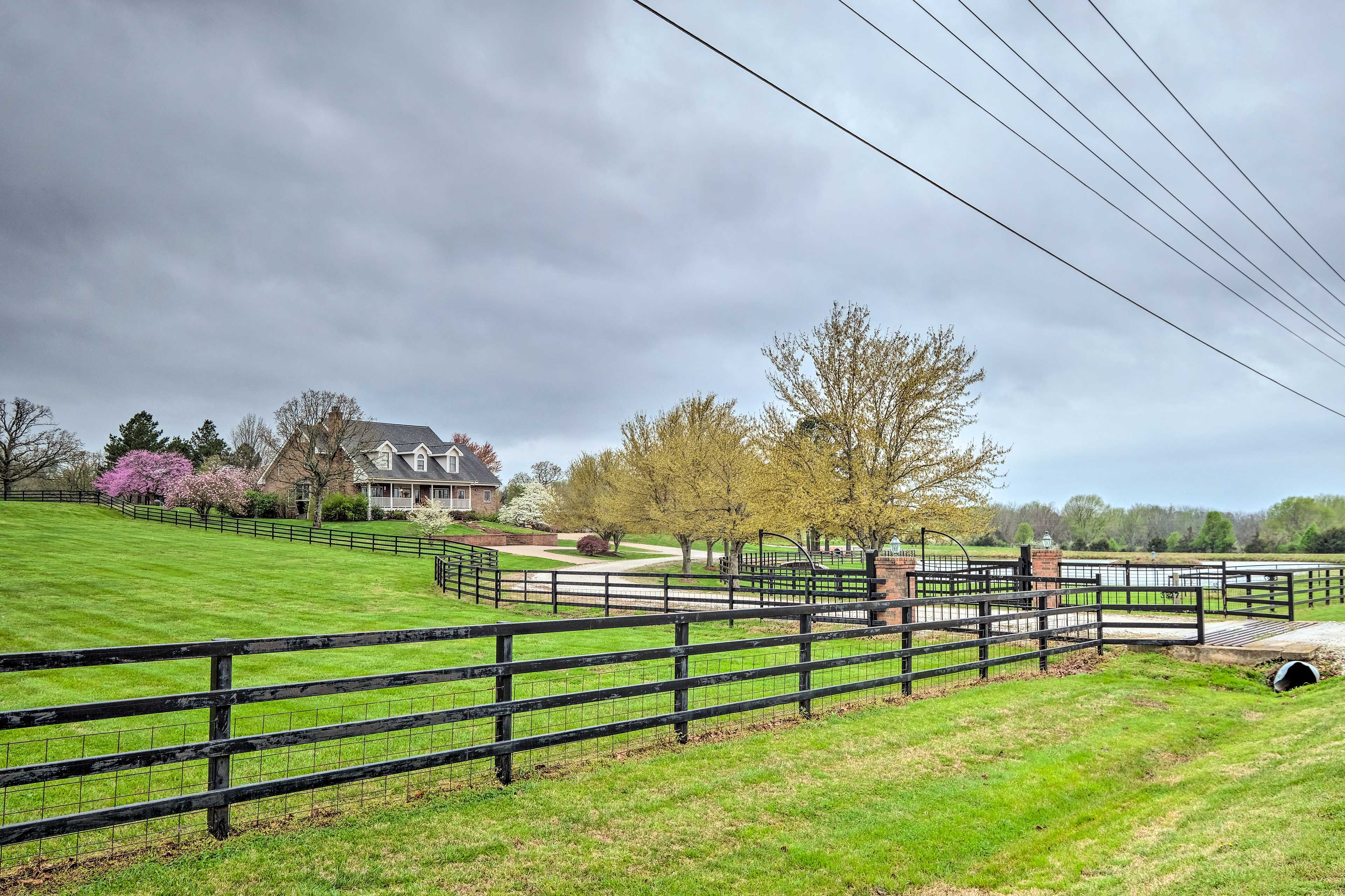 Main Home | Homeowner & Other Vacation Rental On-Site