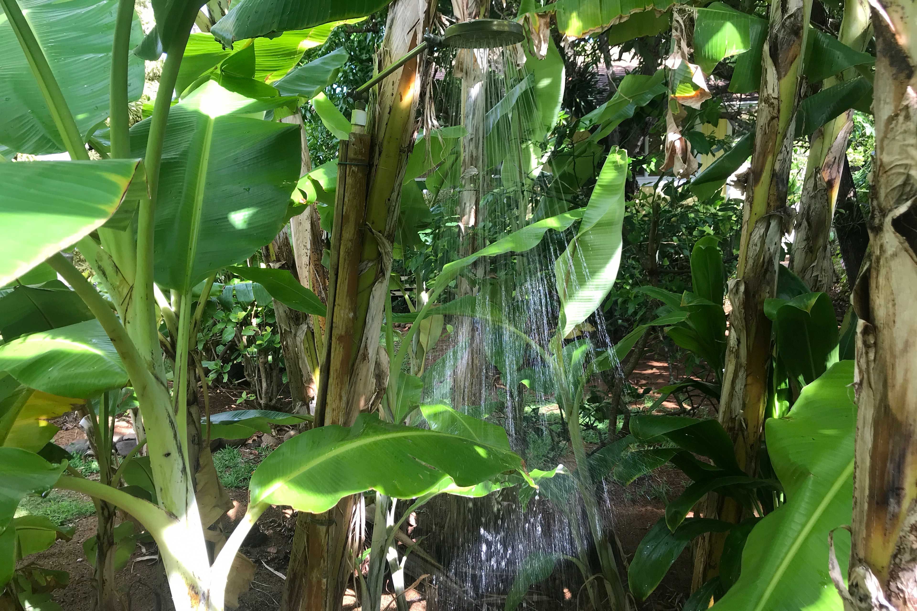 Outdoor Shower