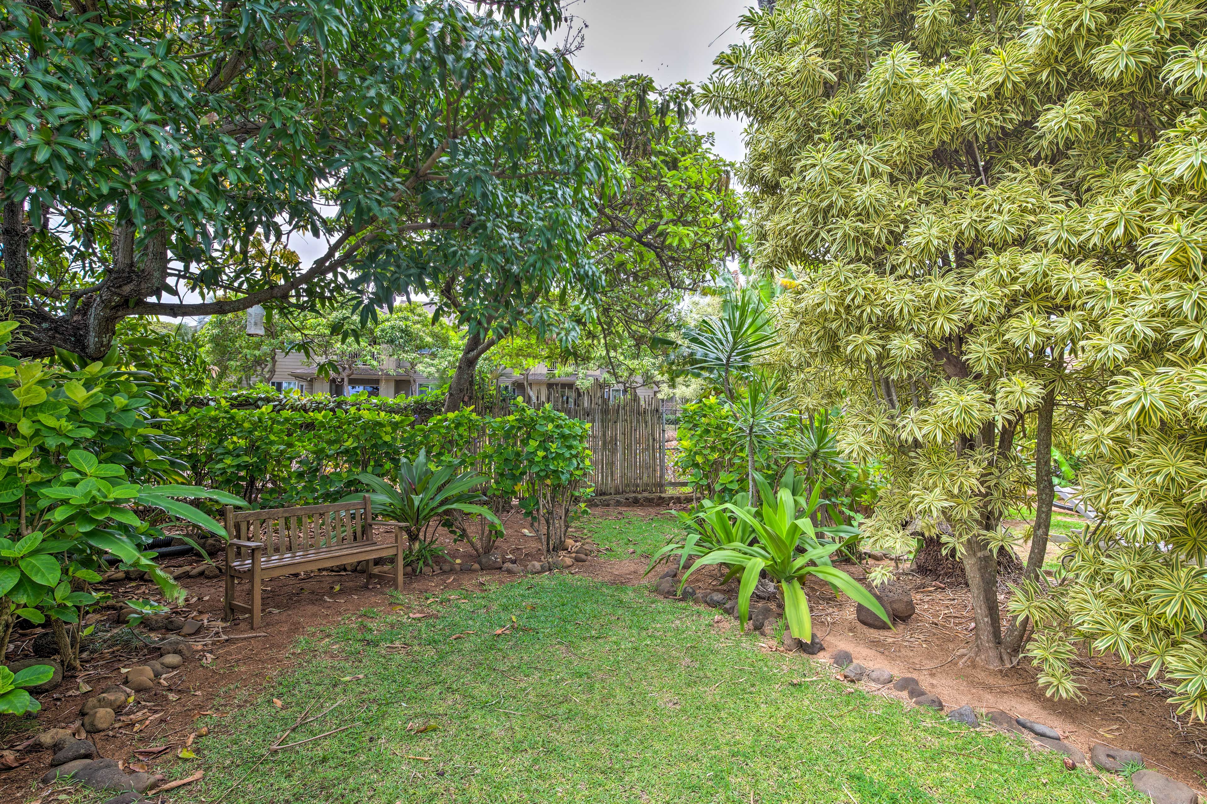 Shared Yard | Beach Path Access