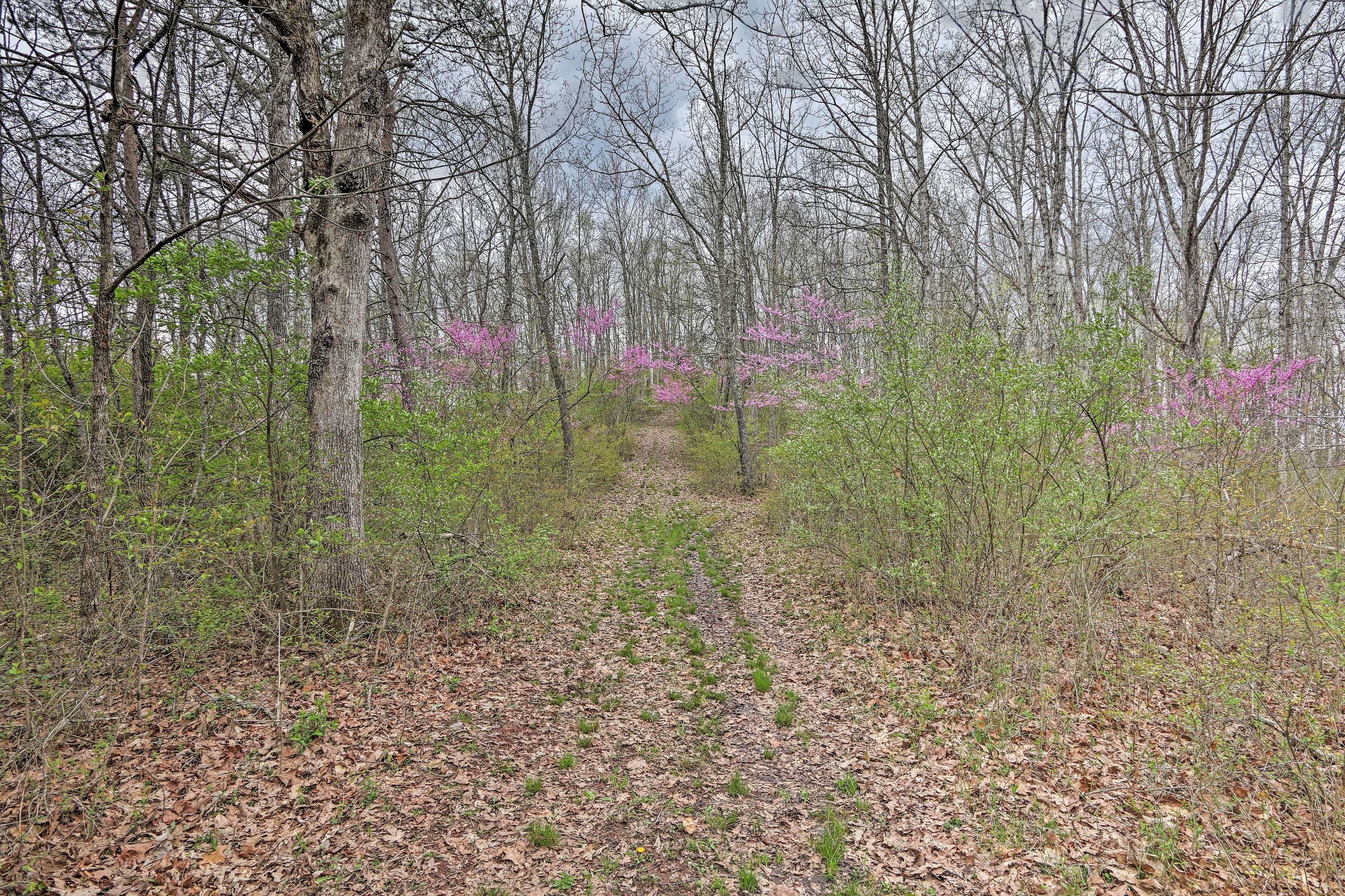 100-Acre Land | Access to Trails