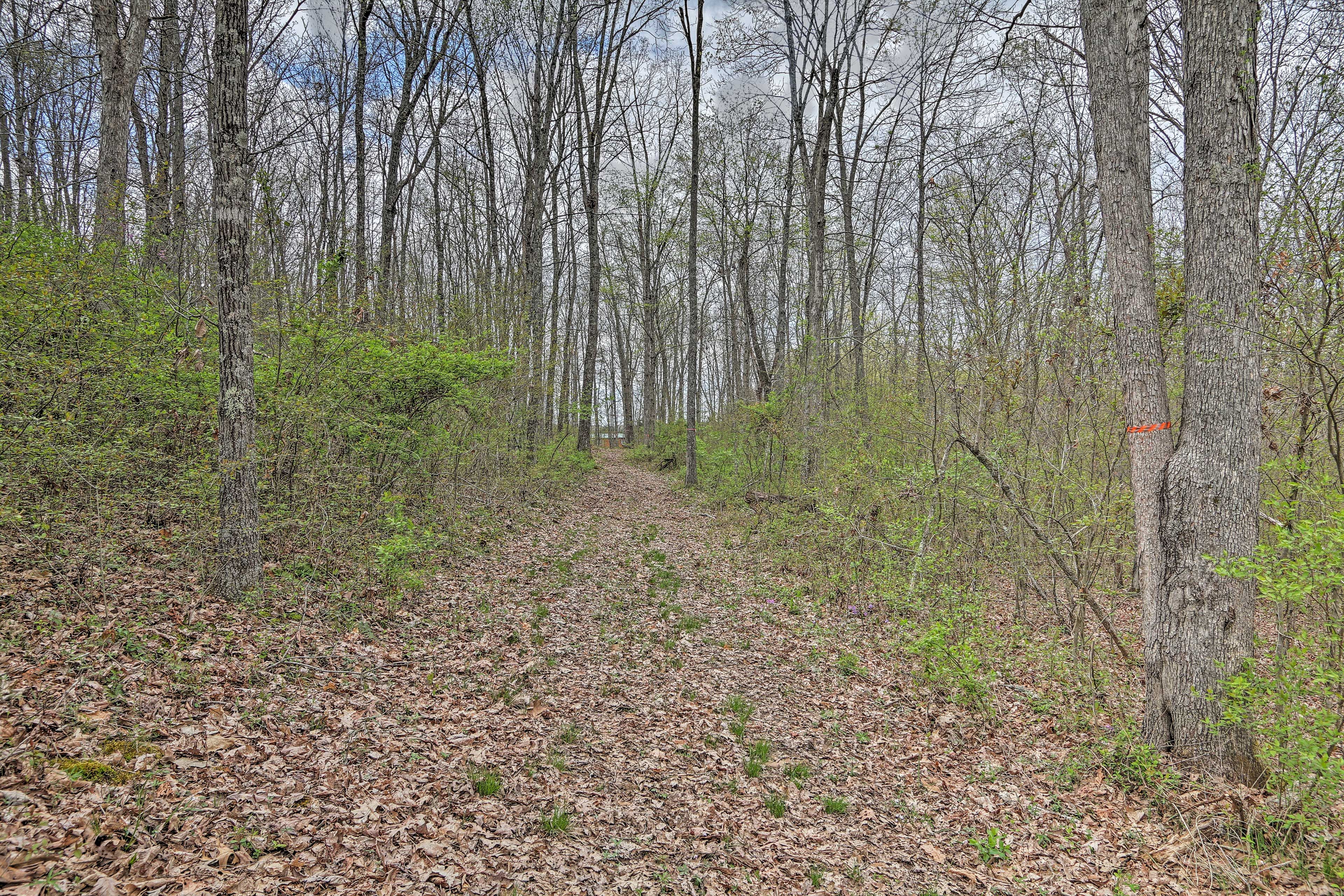Nearby Trails
