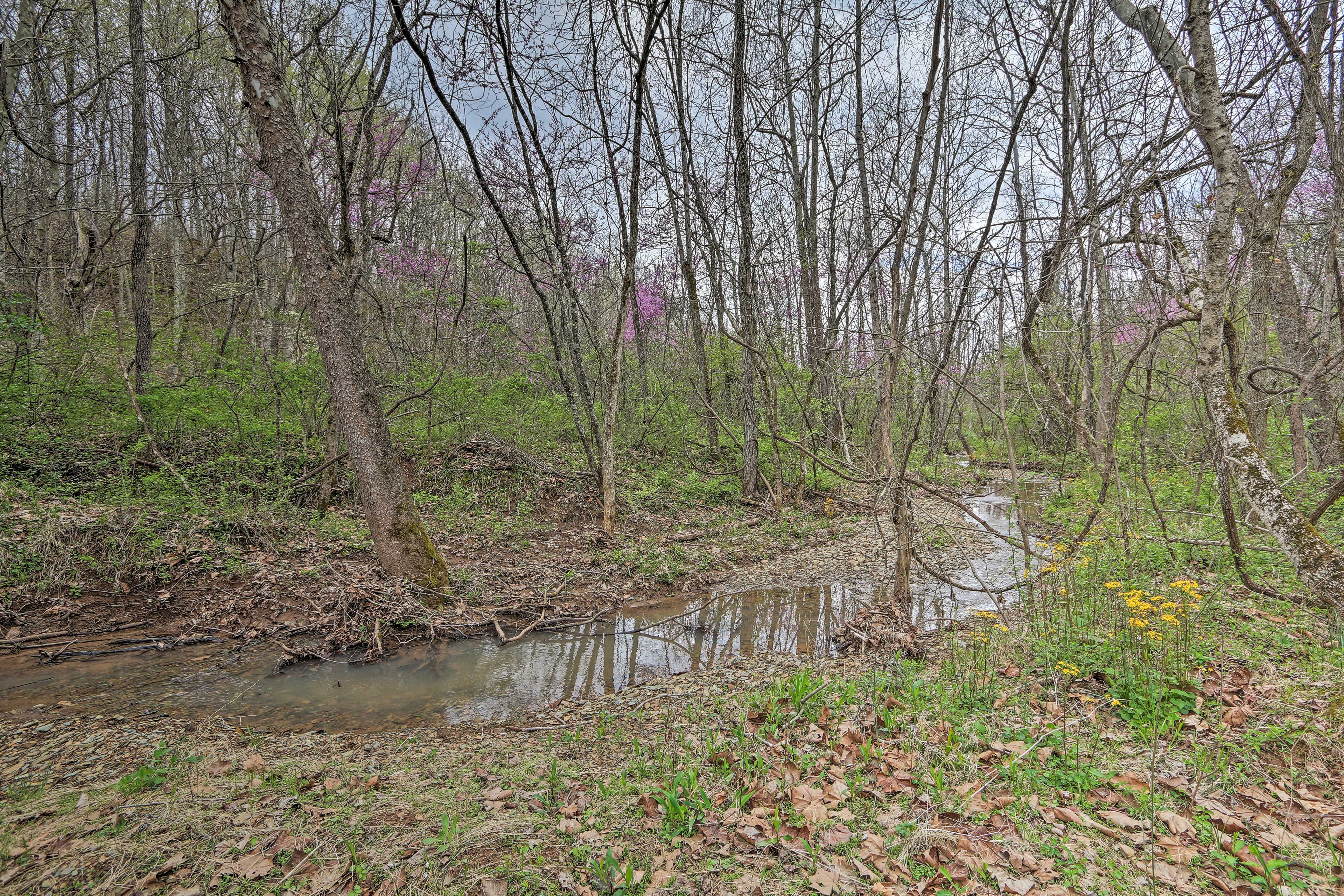 Nearby Trails