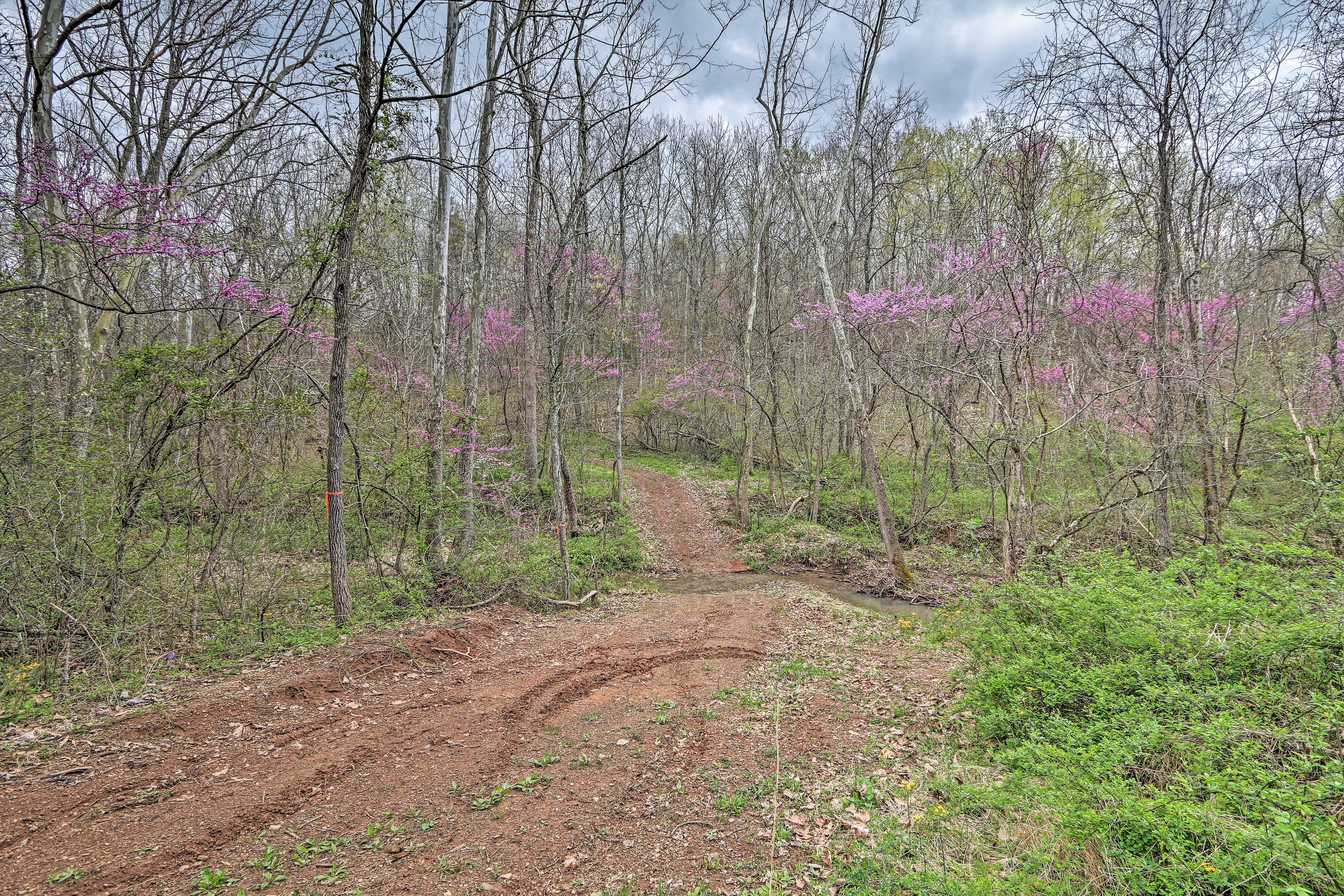 Nearby Trails