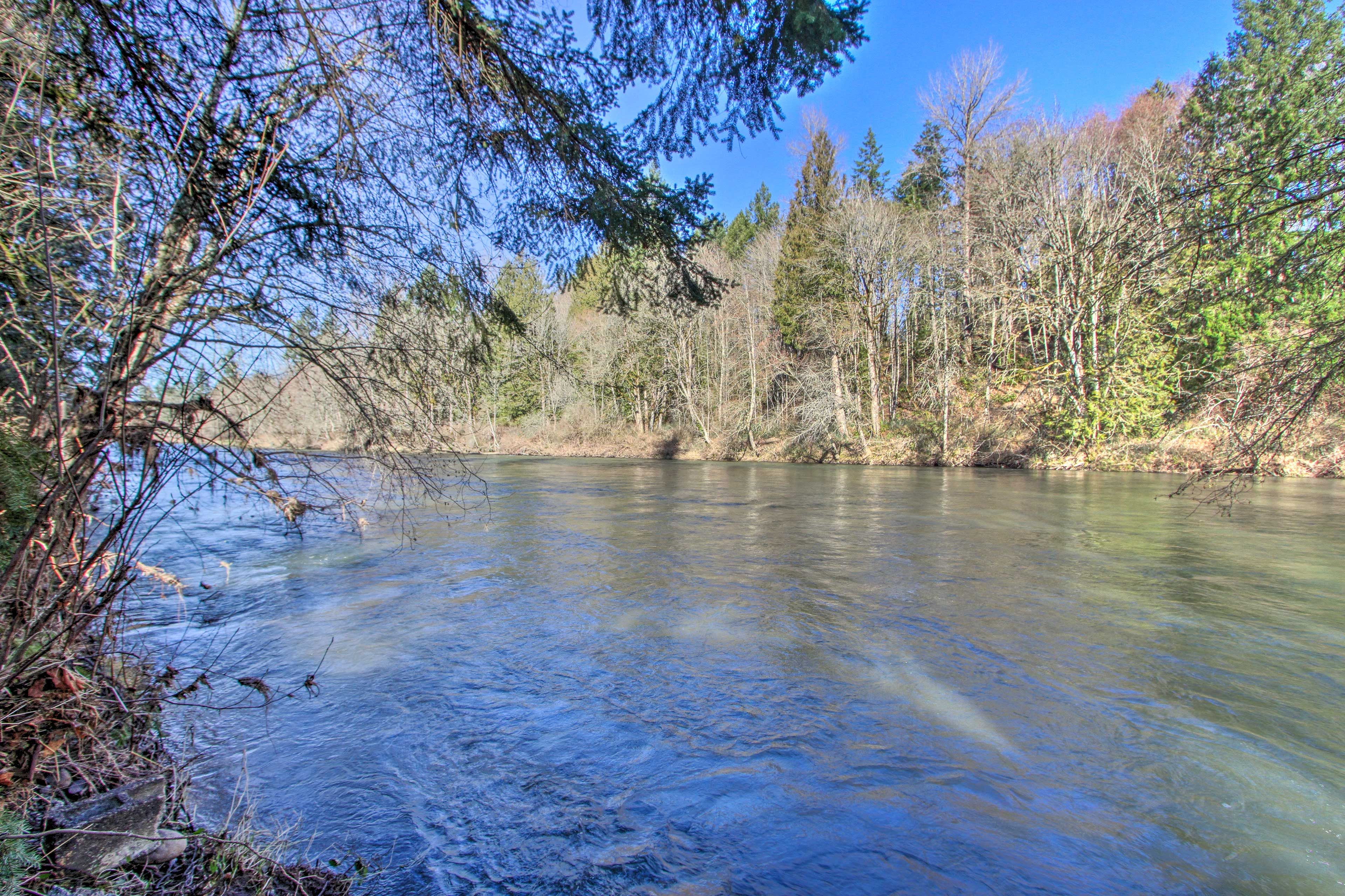 Nisqually River