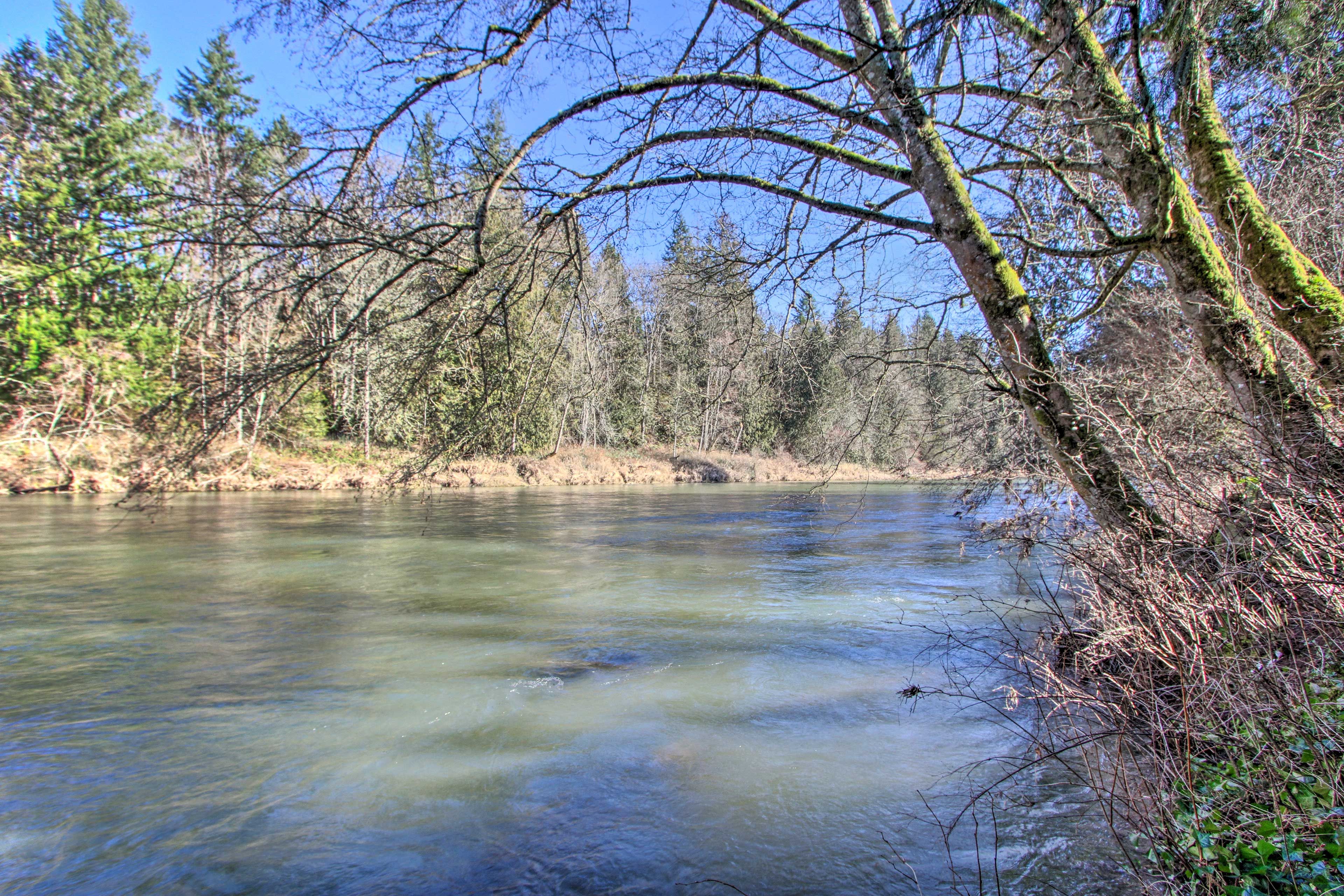 Nisqually River