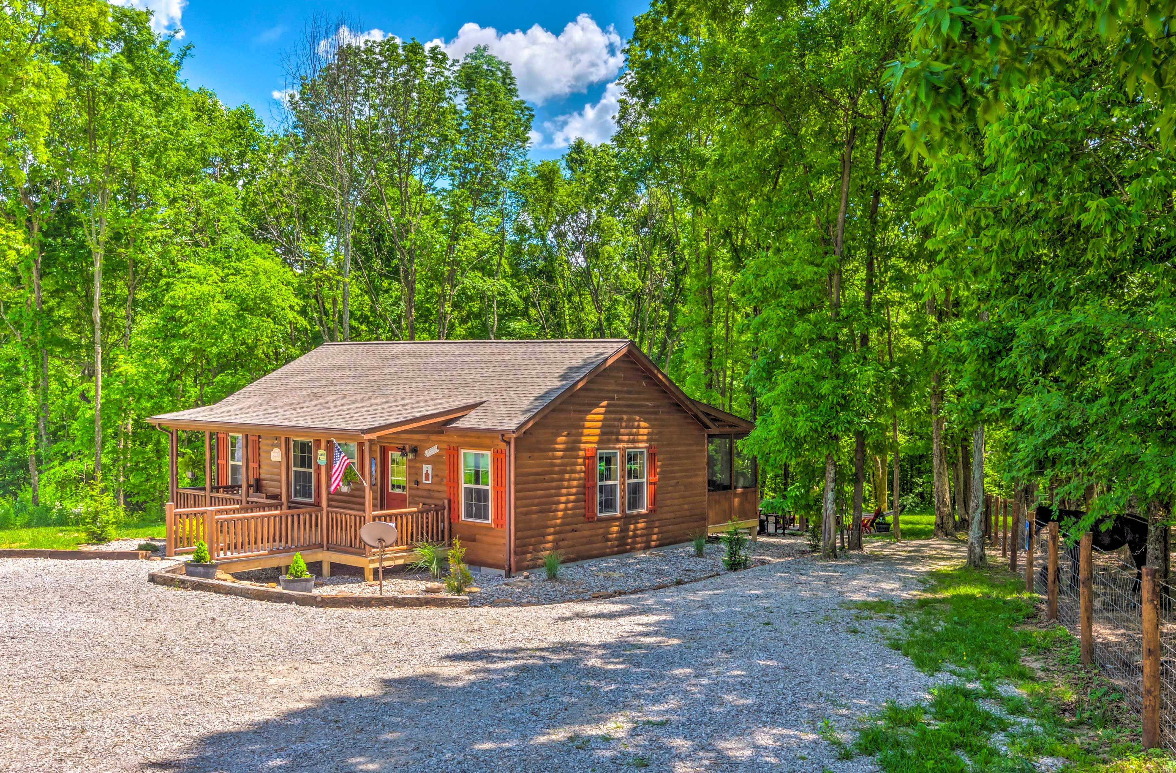 Cabin Exterior | Driveway Parking (3 Vehicles) | RV/Trailer Parking