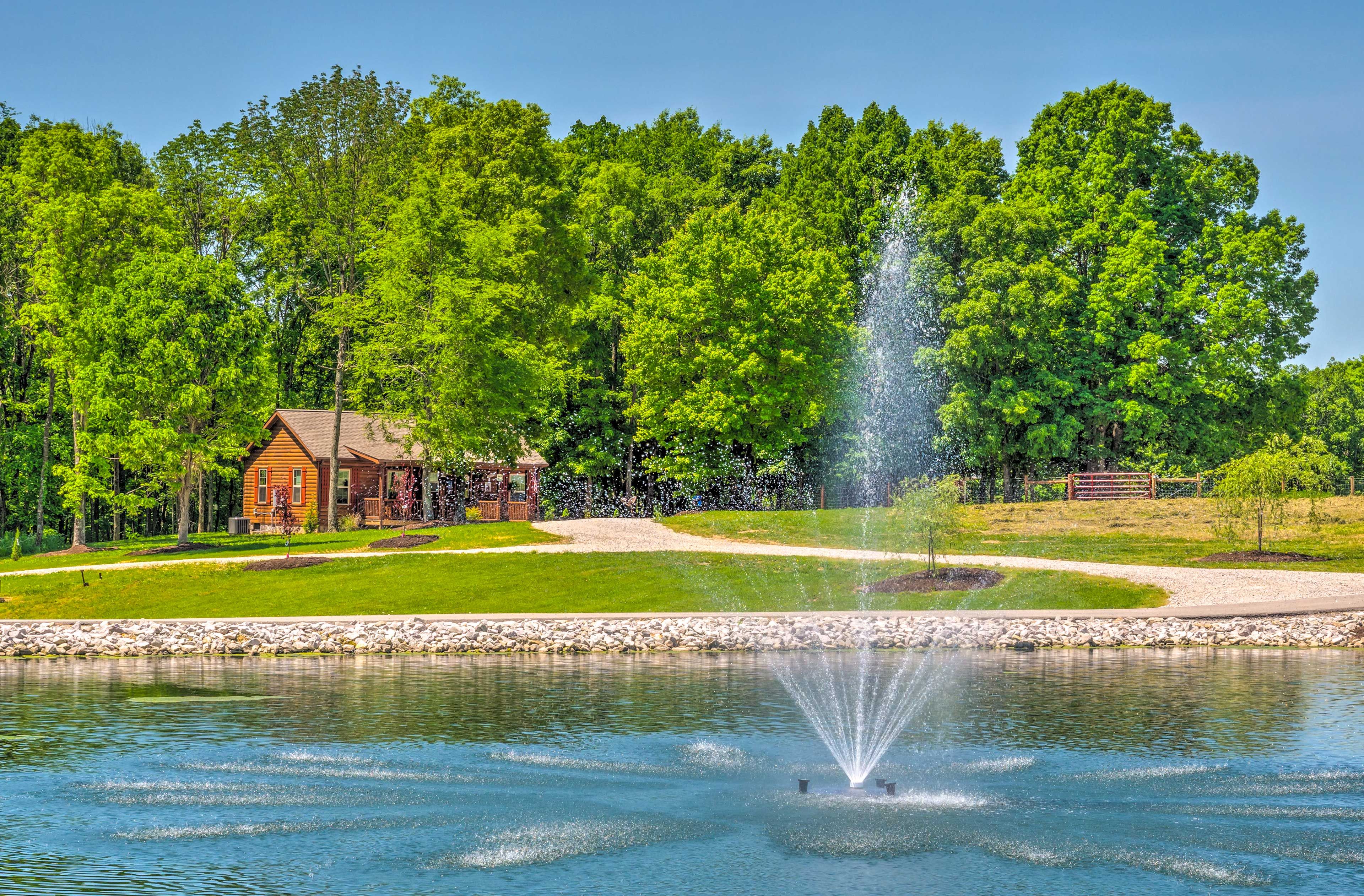 Fishing Pond | Farm Views