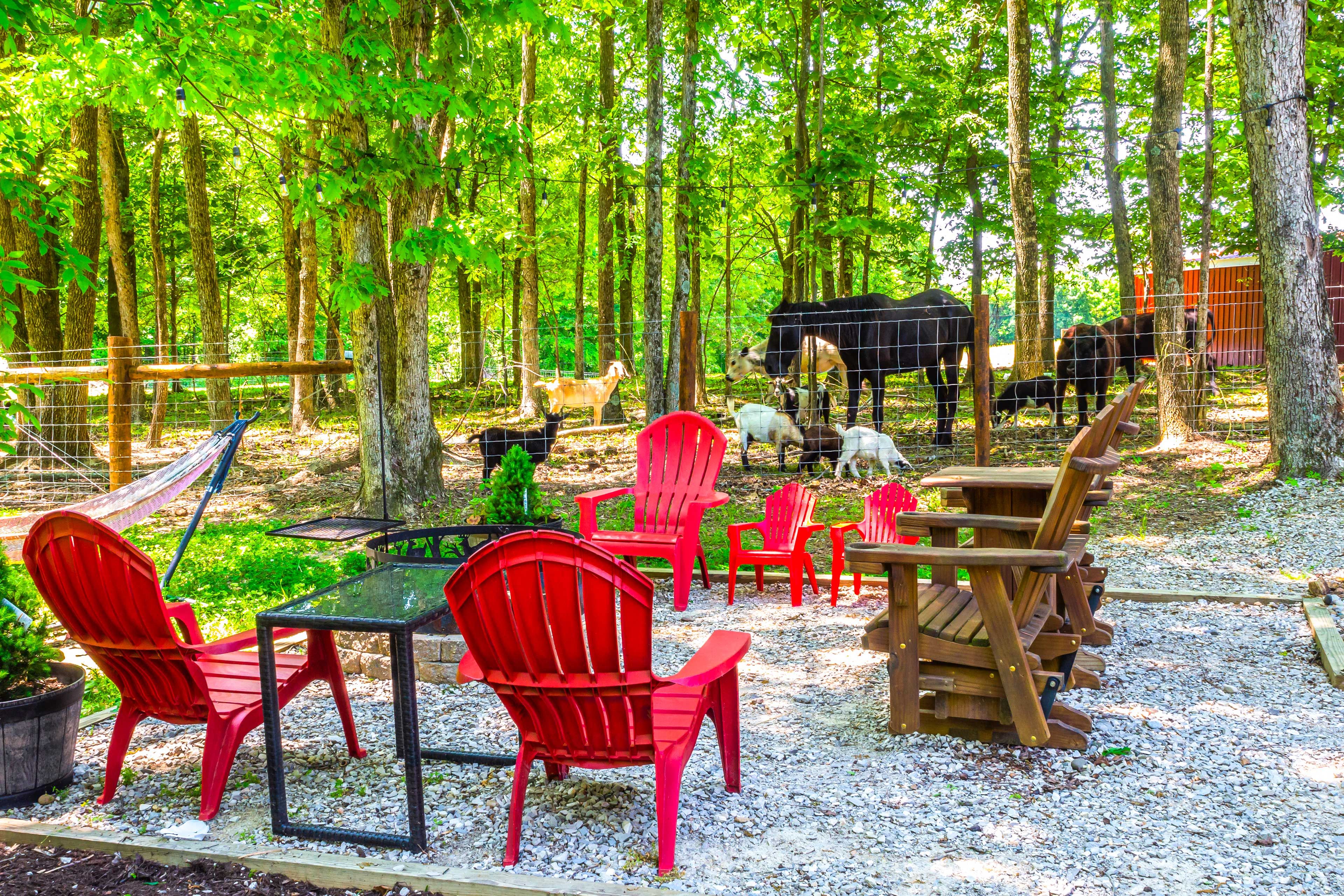 Farm Animals On-Site
