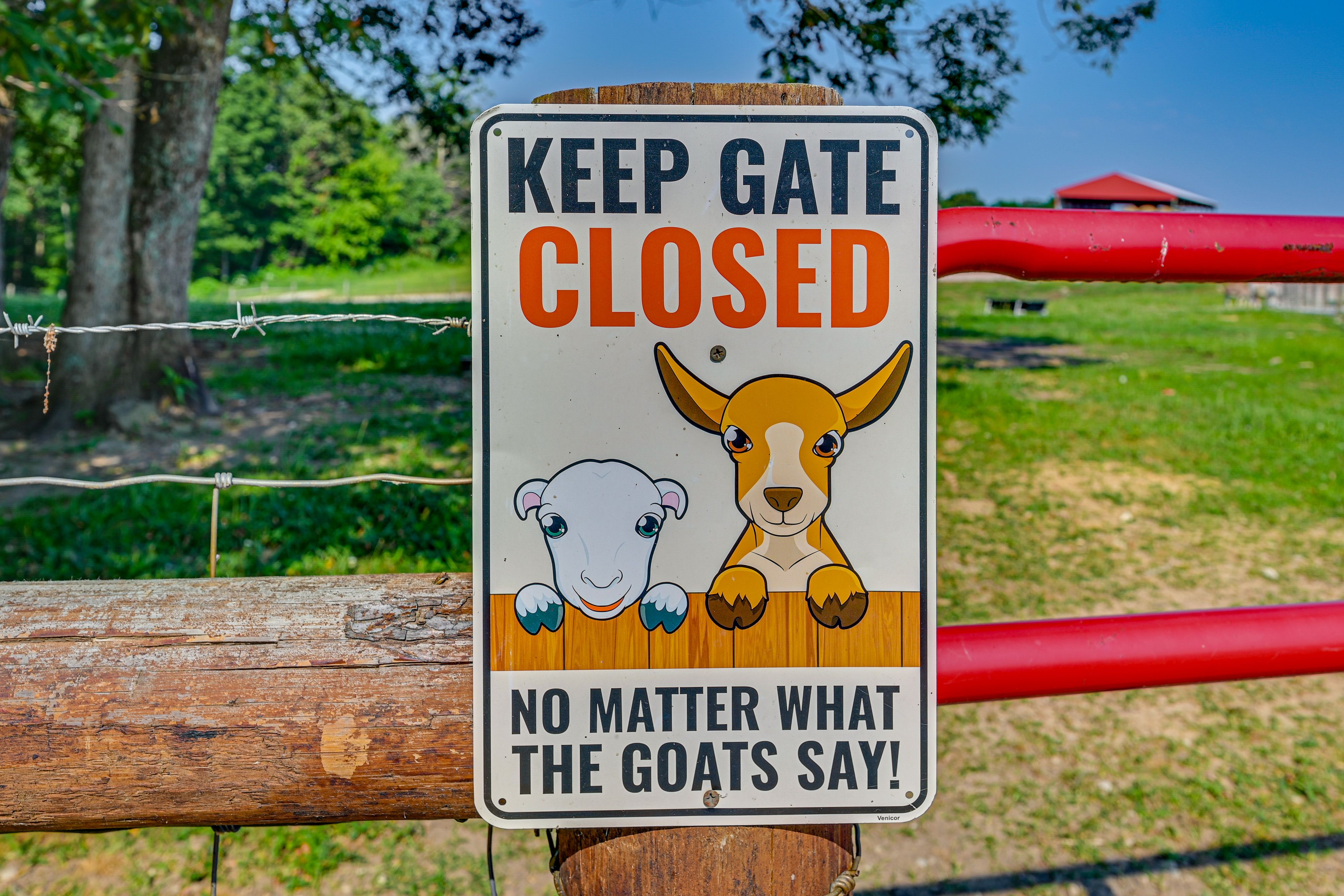 Farm Animals On-Site