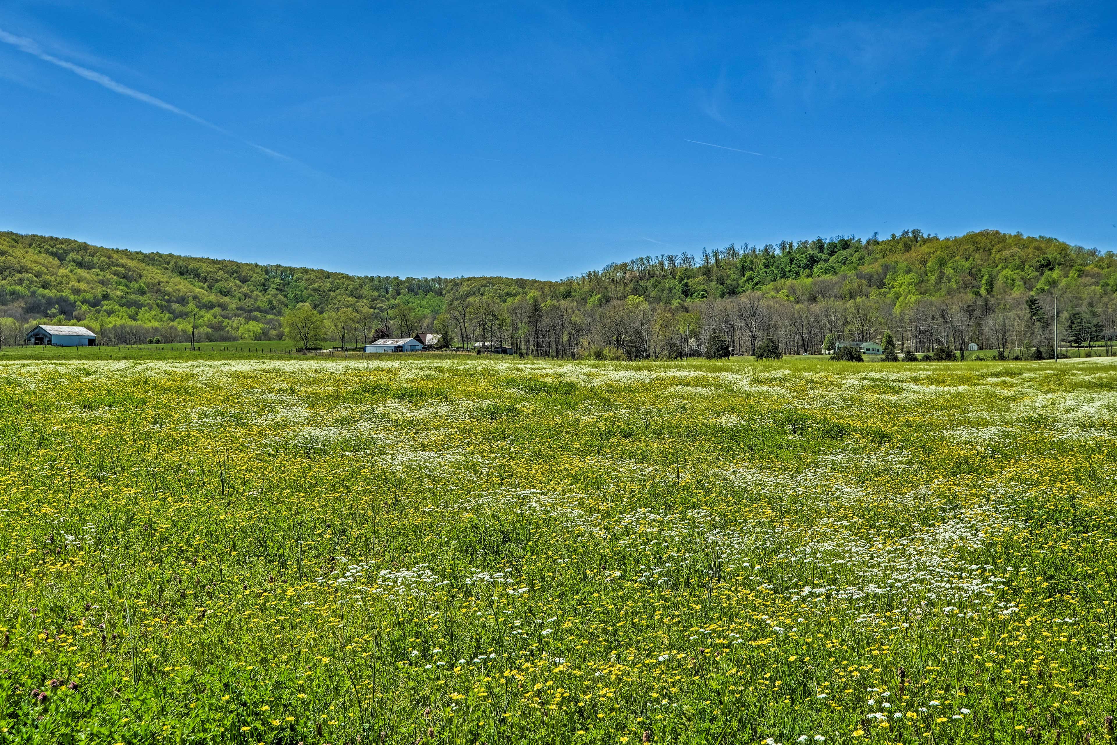Exterior Space | Pasture Views