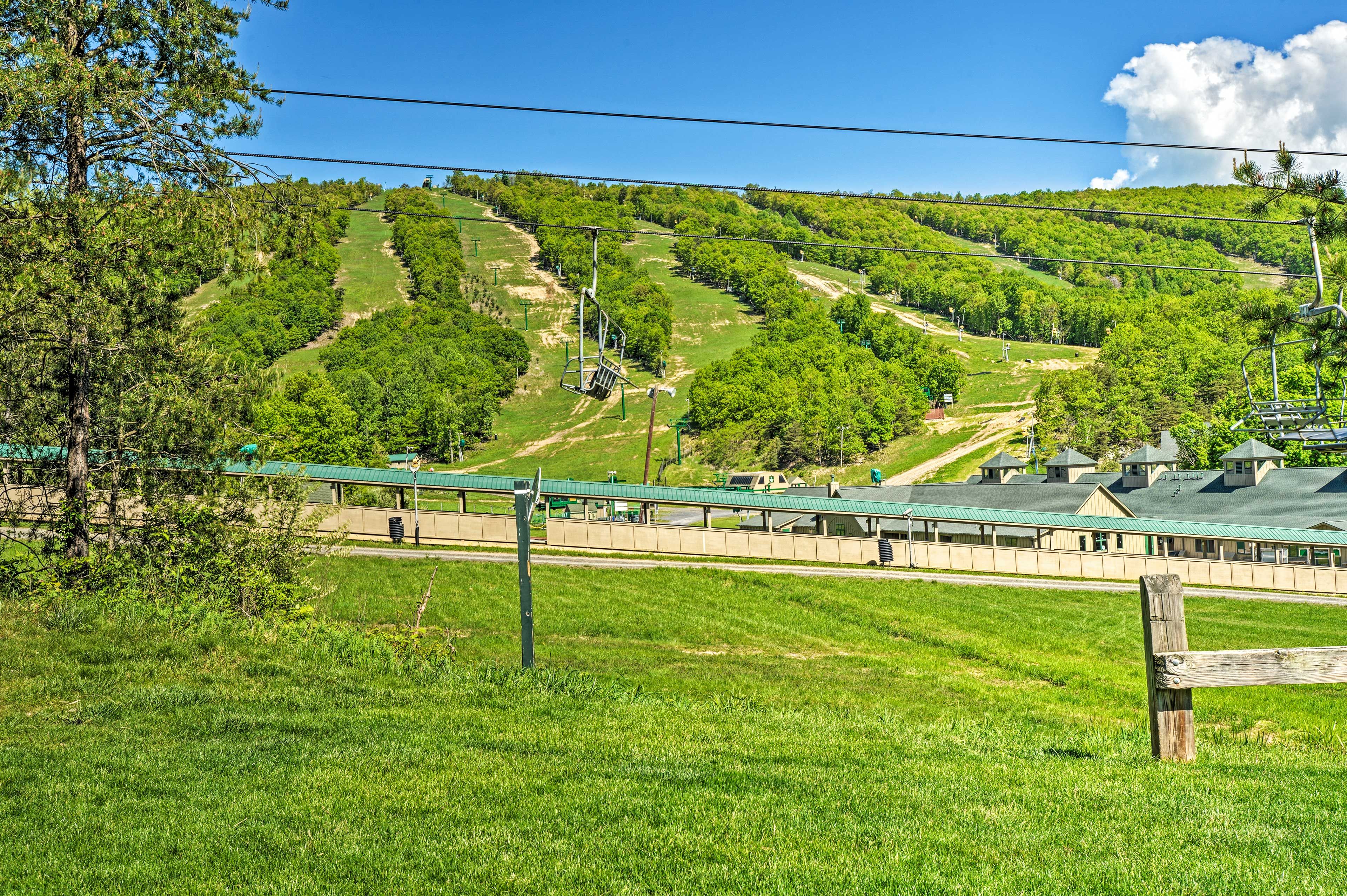 Whitetail Resort
