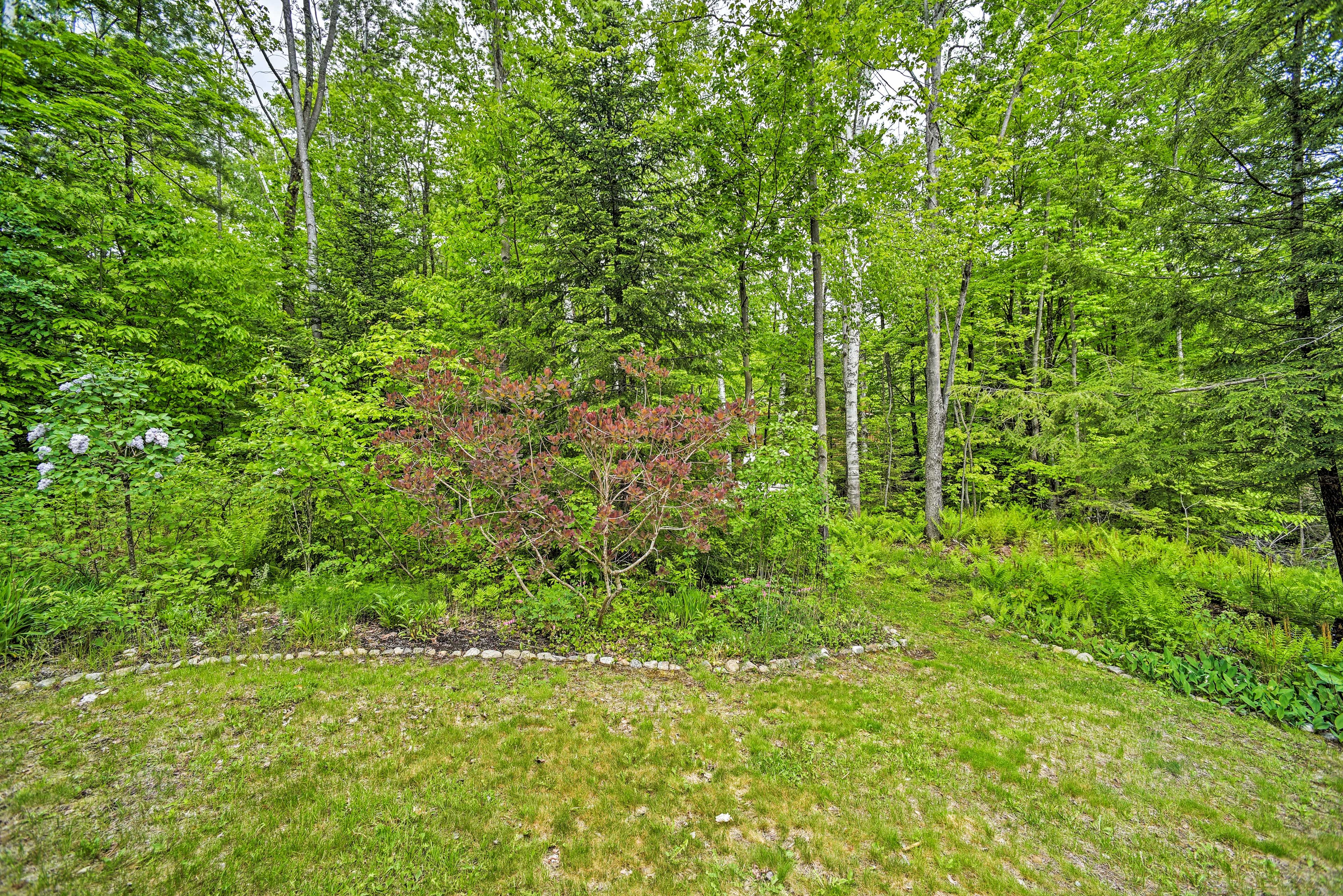 Private Yard | 1-Acre Lot