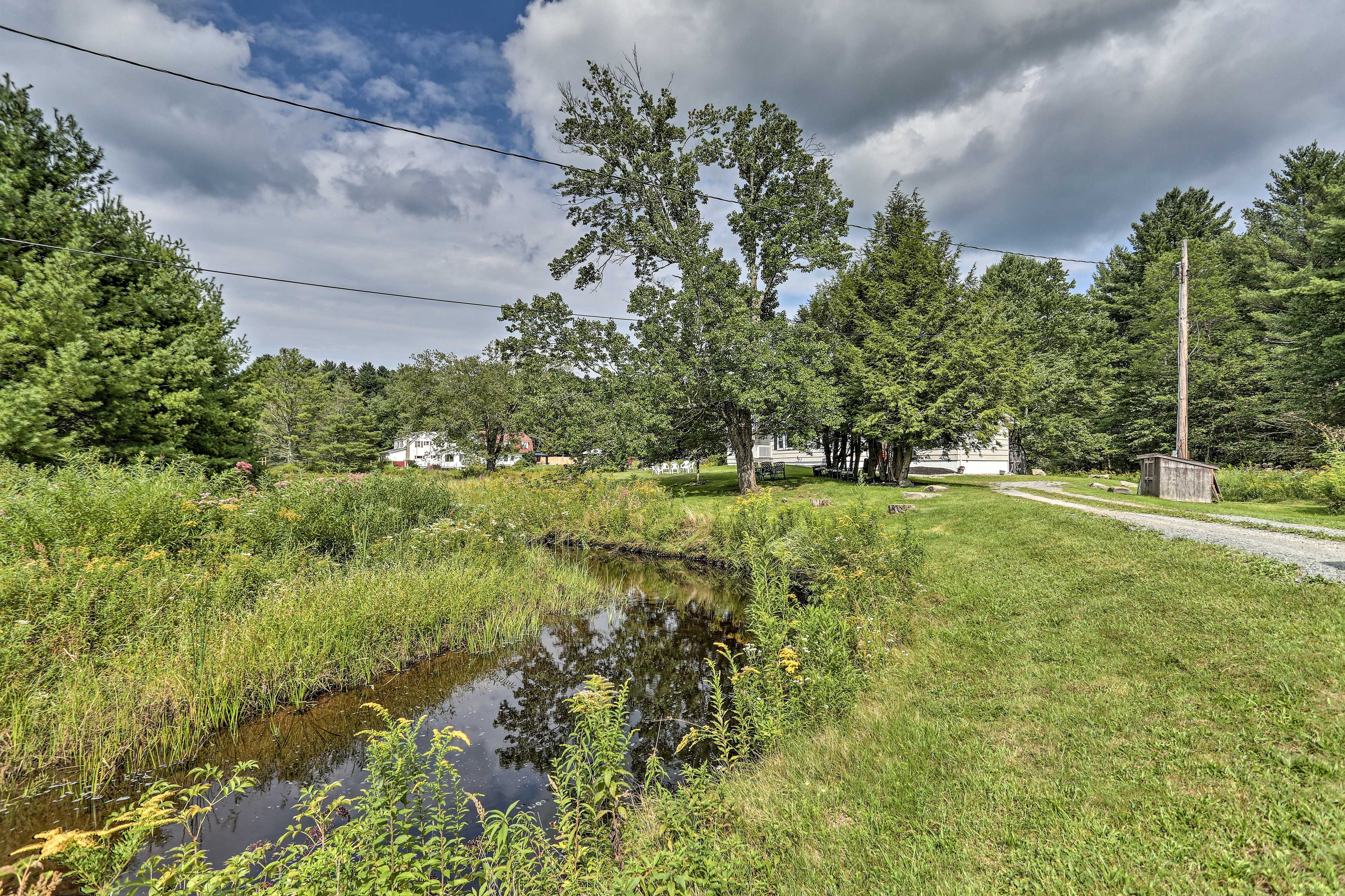 Nearby Stream