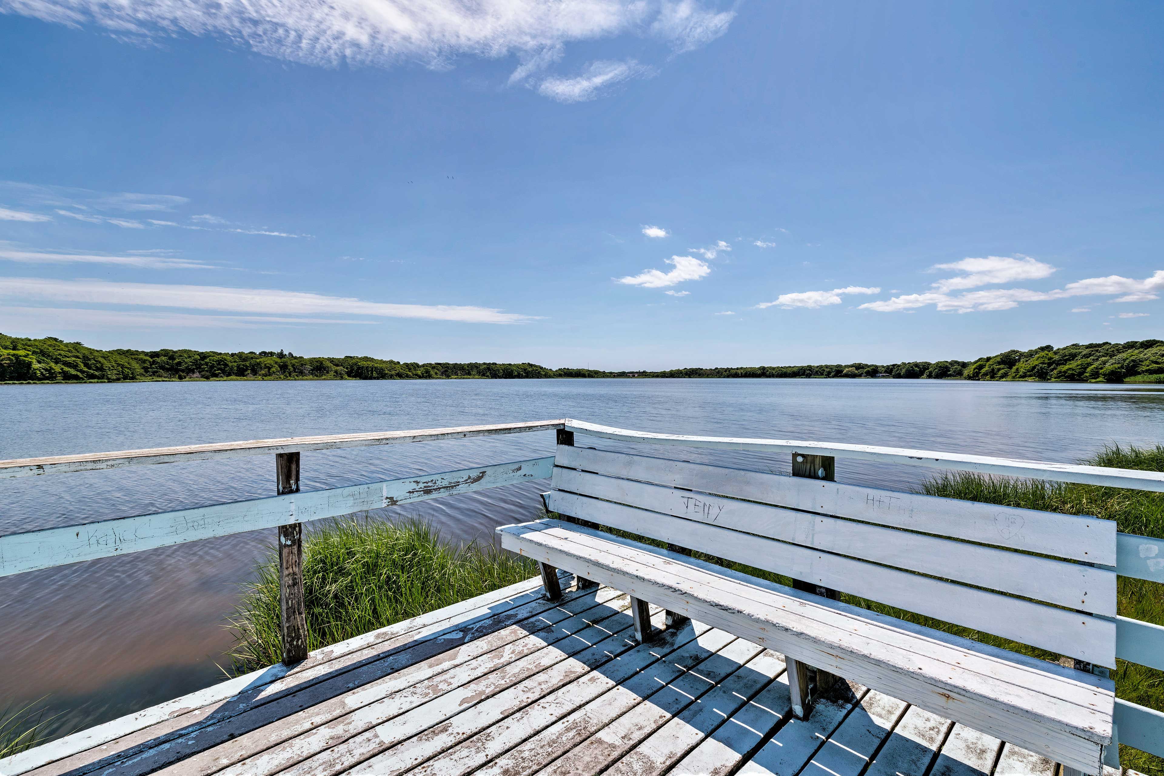 Swan Pond | 1 Block Away