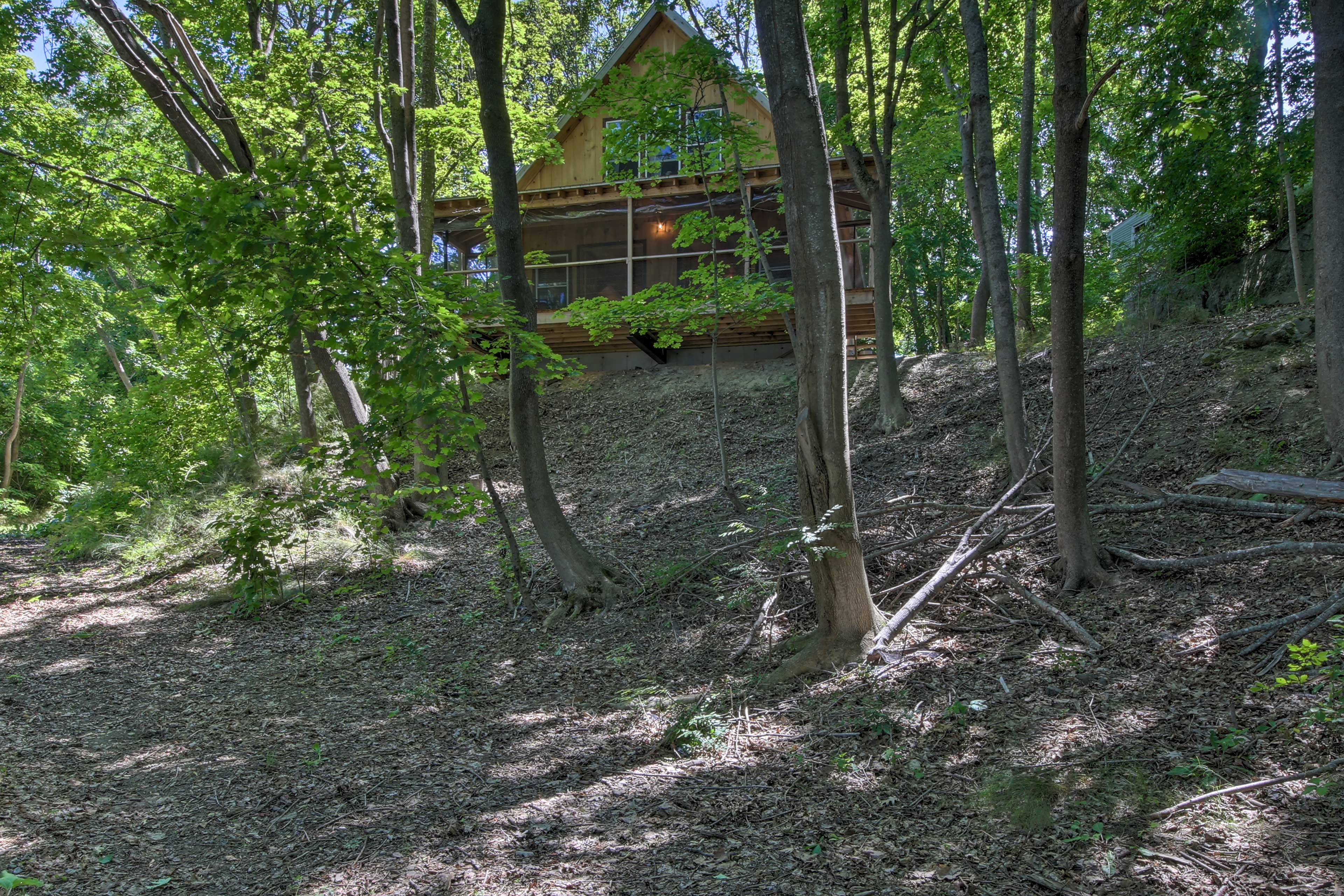 Home Exterior | Back of Property