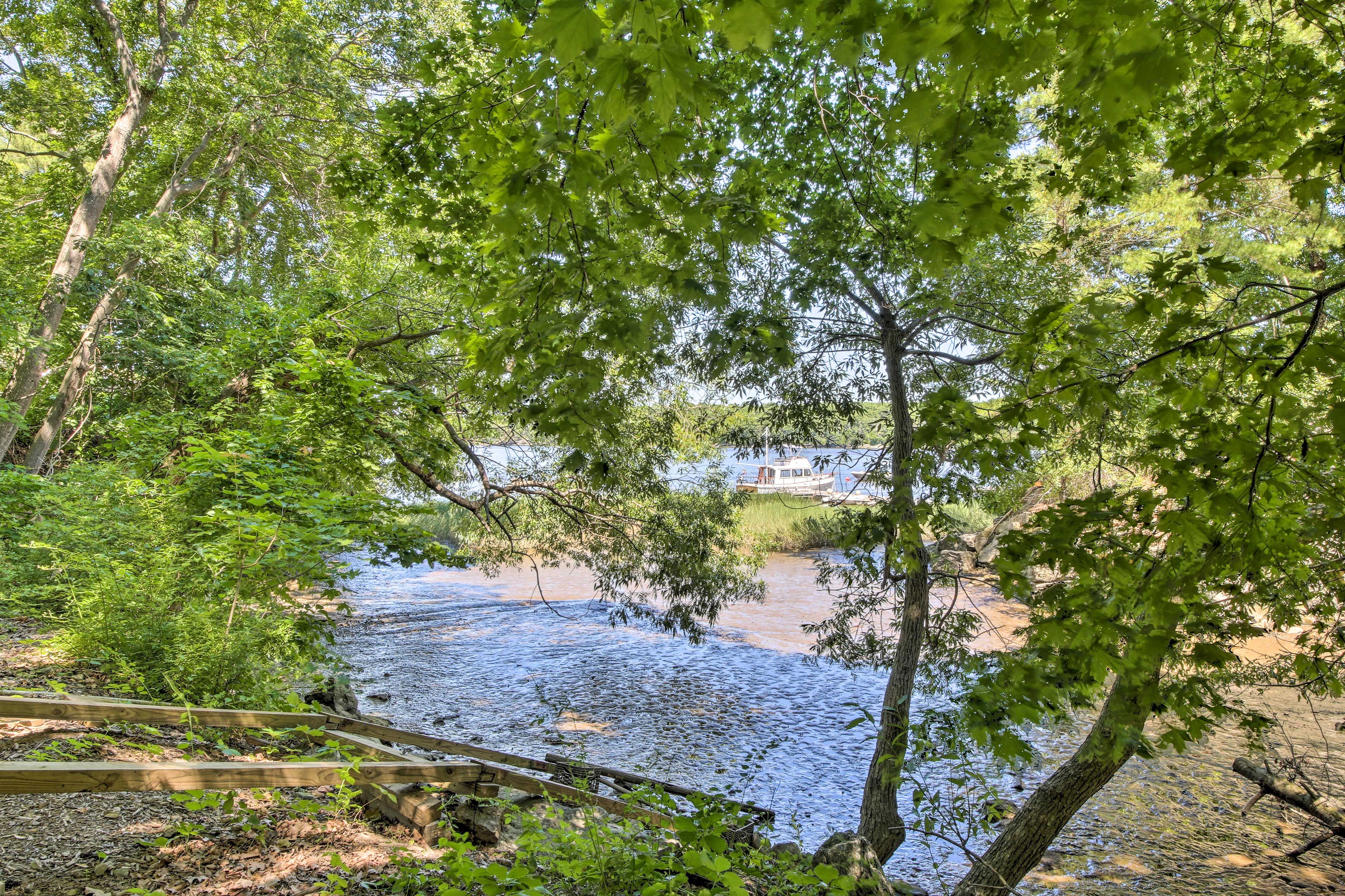 Kennebec River Shoreline | Fishing On-Site