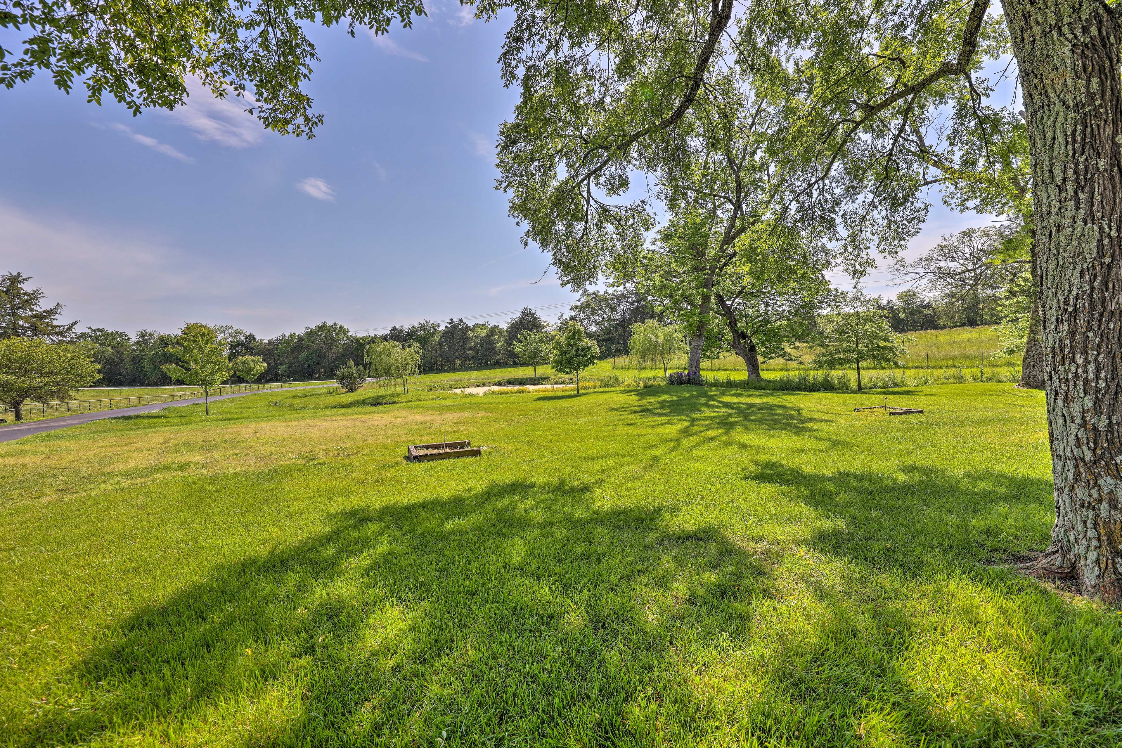 Property Exterior | 7 Acres | On-Site Pond