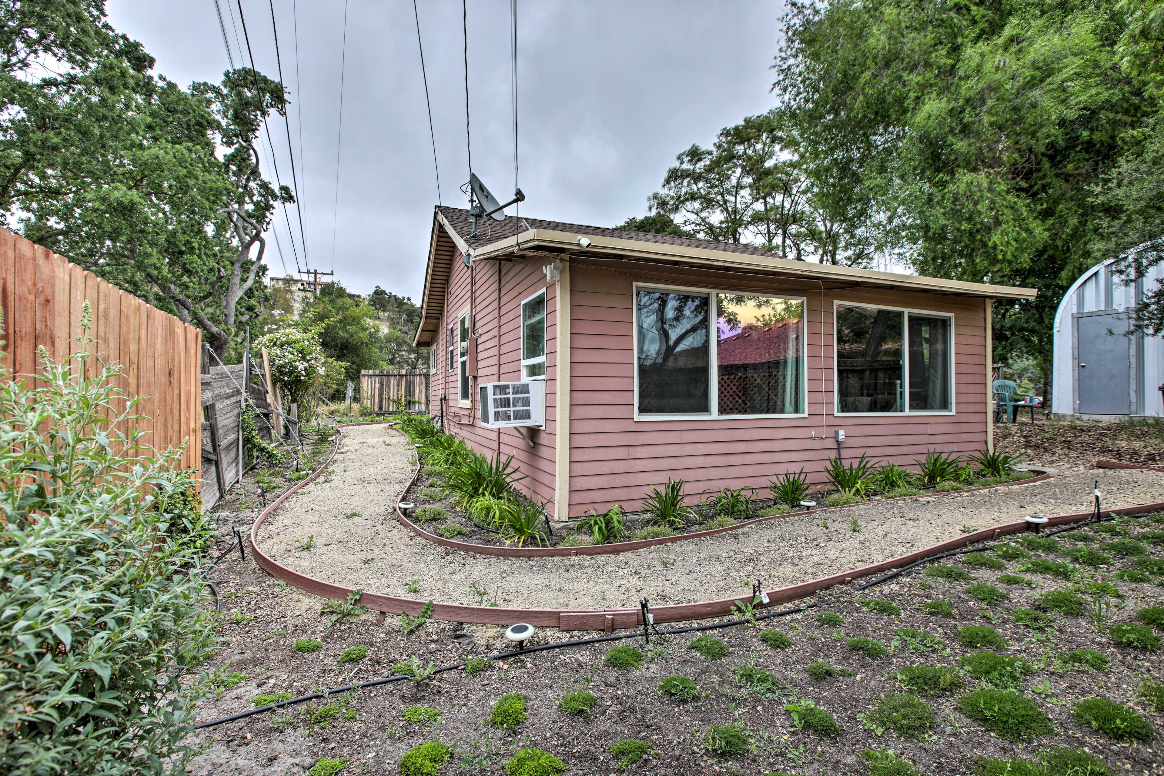 Garden