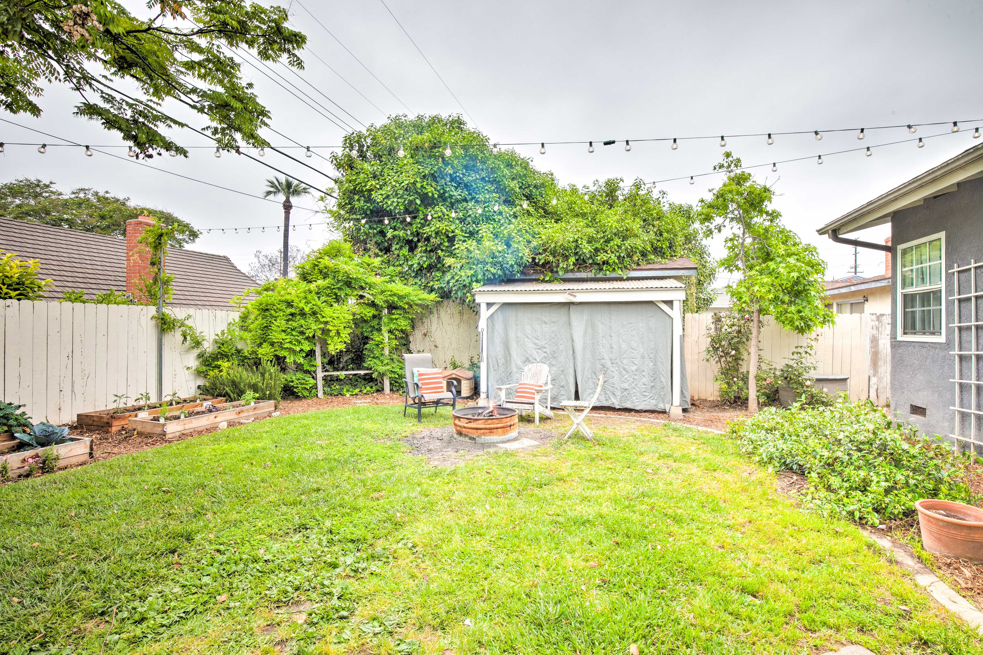 Backyard | Fenced-In | Dogs Welcome