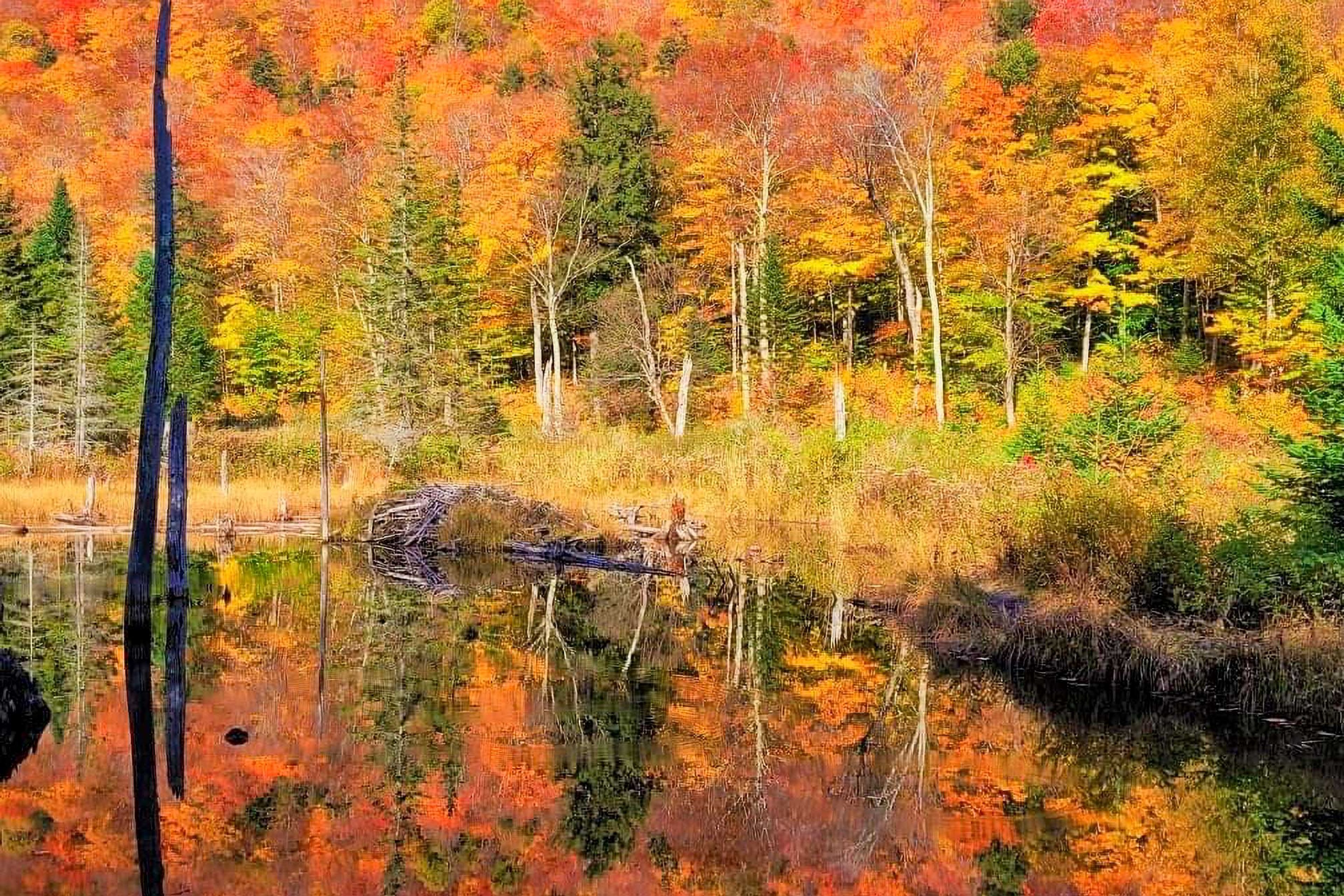 Fall Views