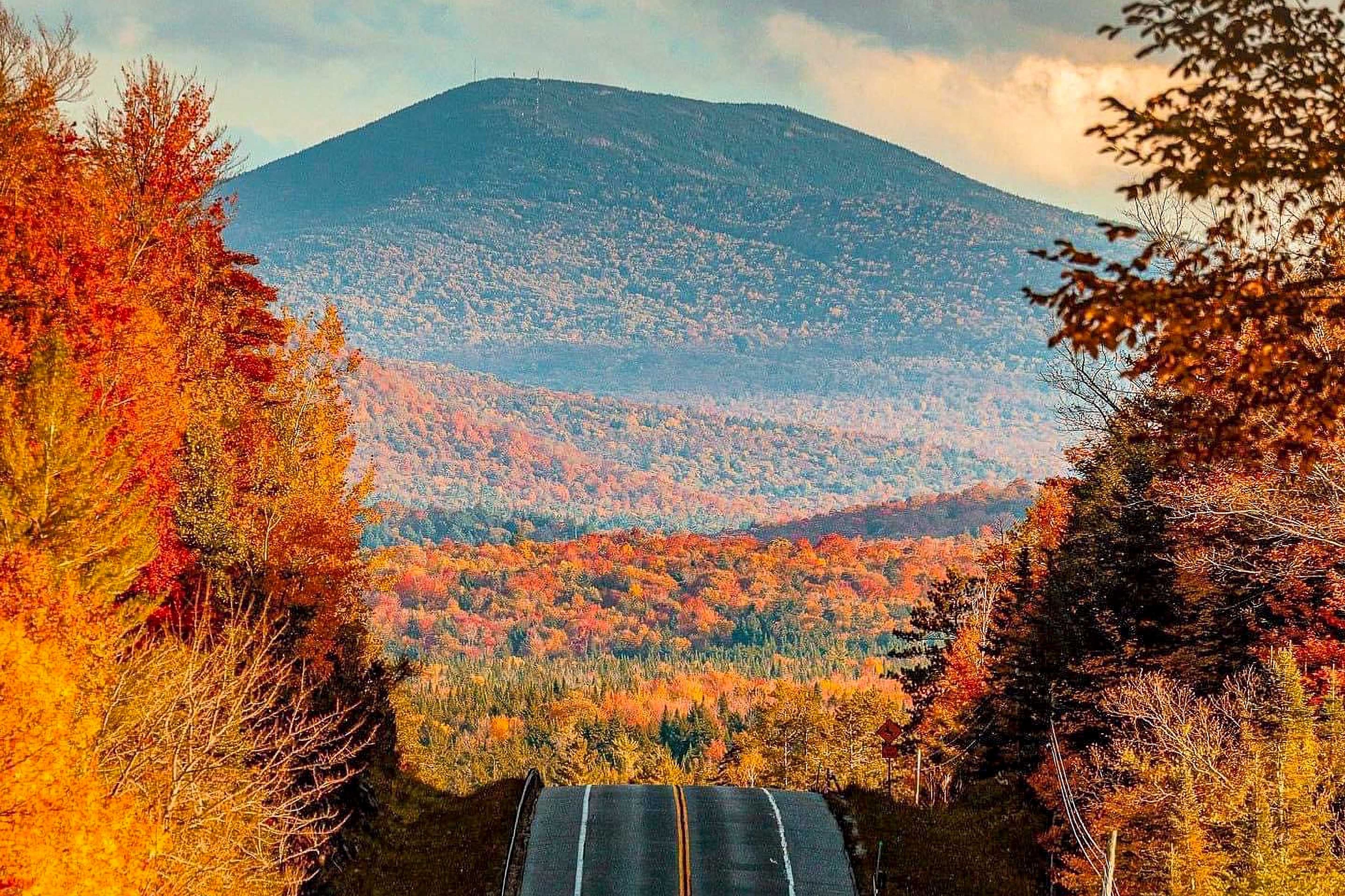 Fall Views