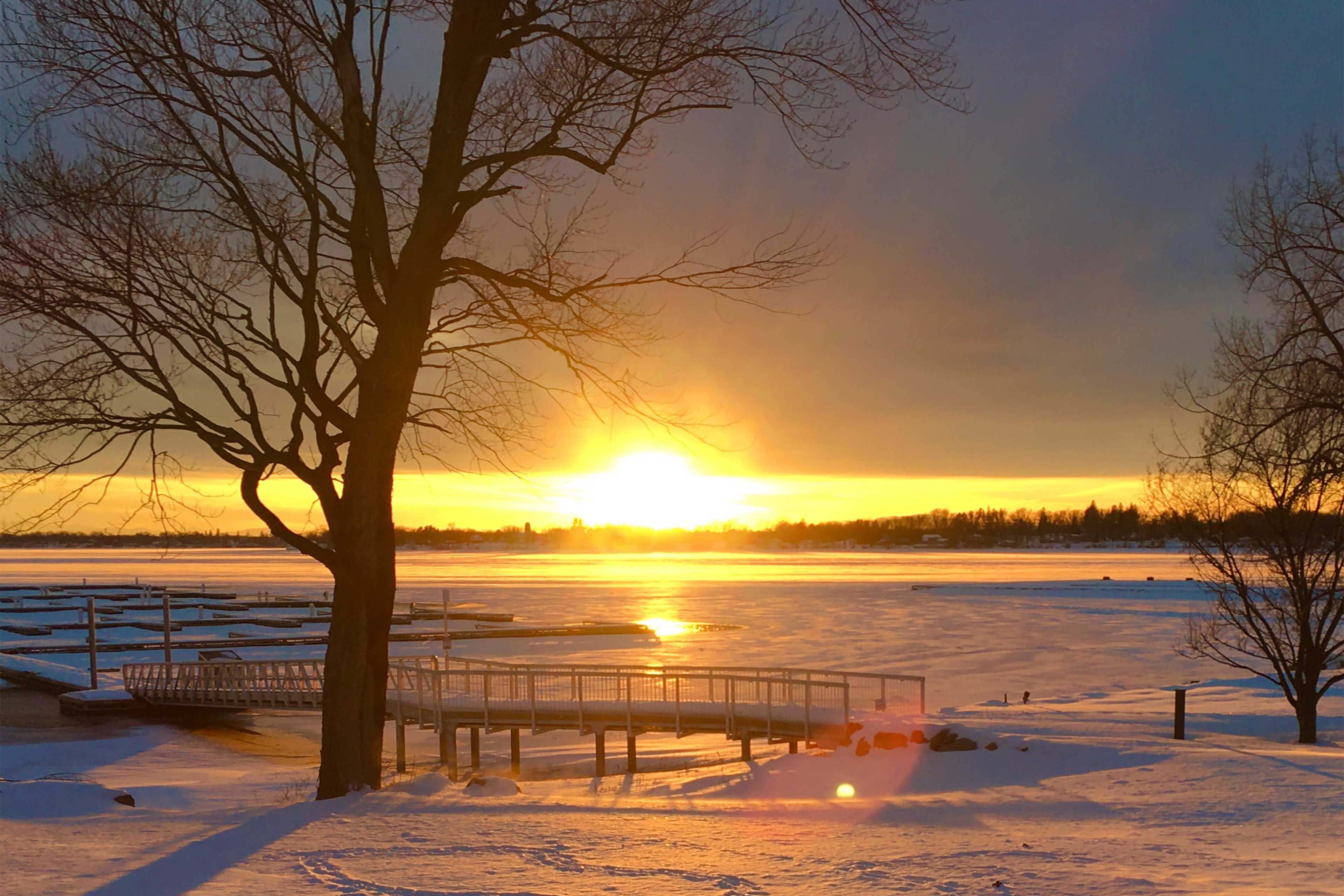 Waterfront Yard in Winter