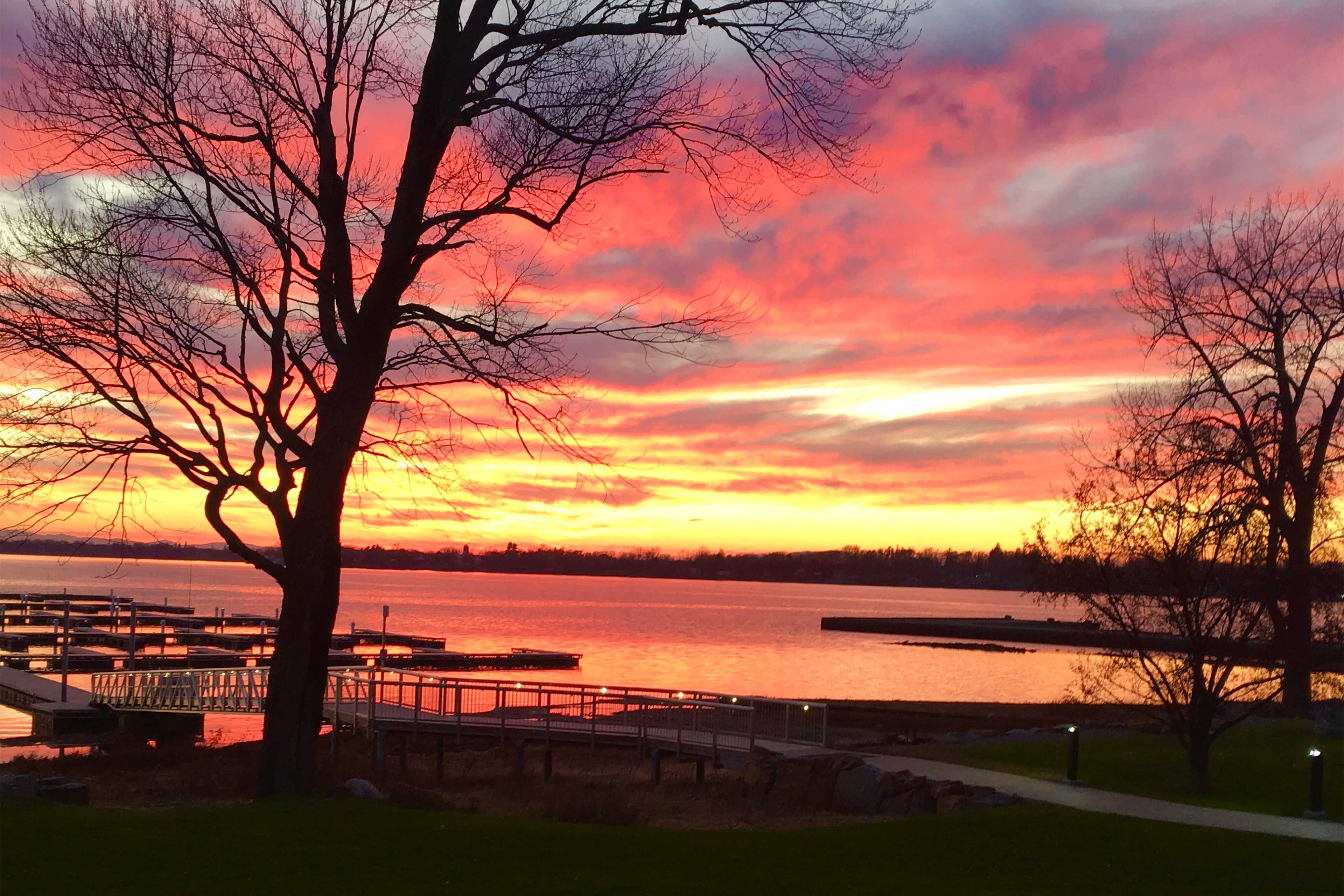 Sunset Over Waterfront Yard