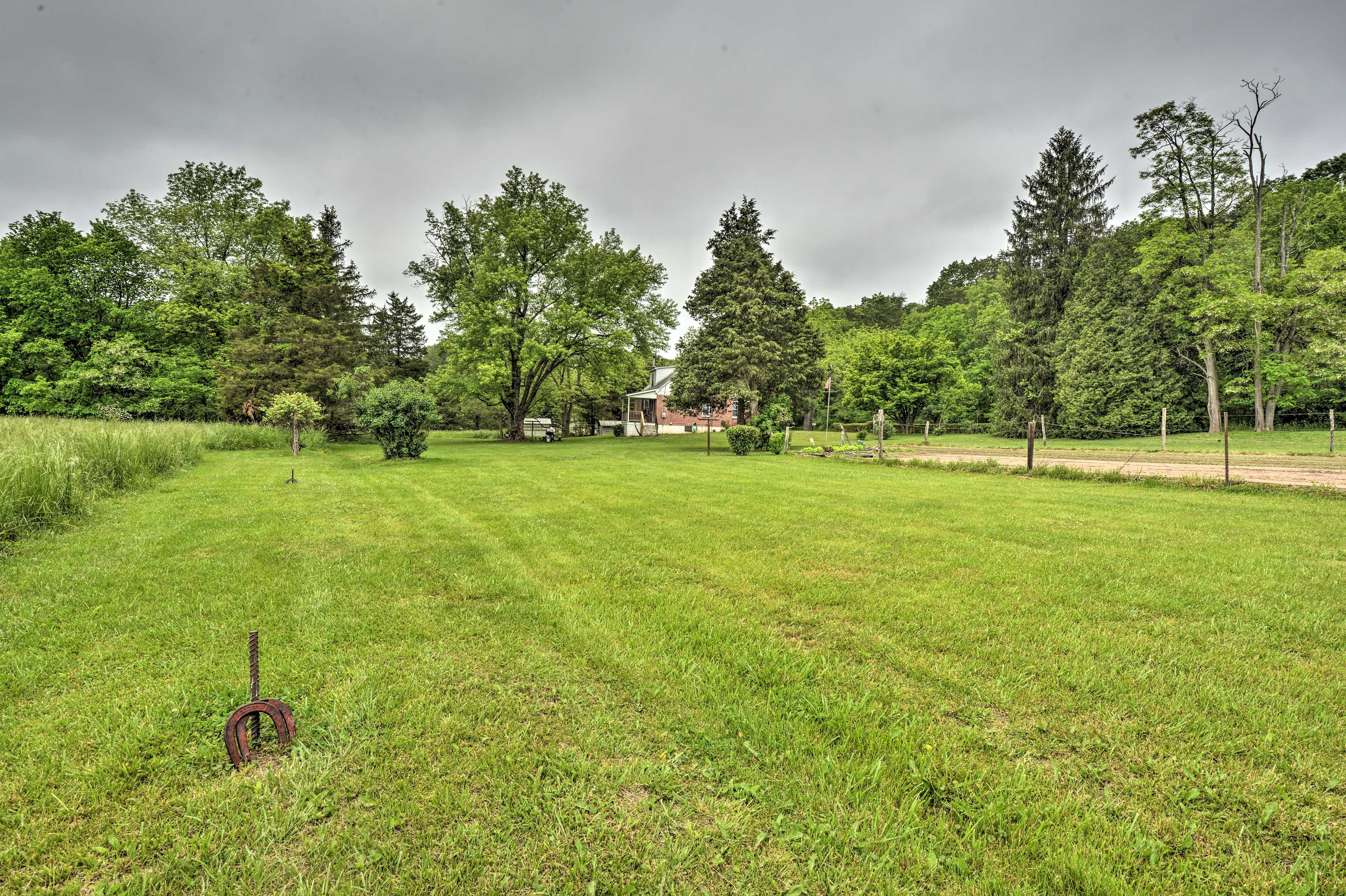 Private Yard | Horseshoes