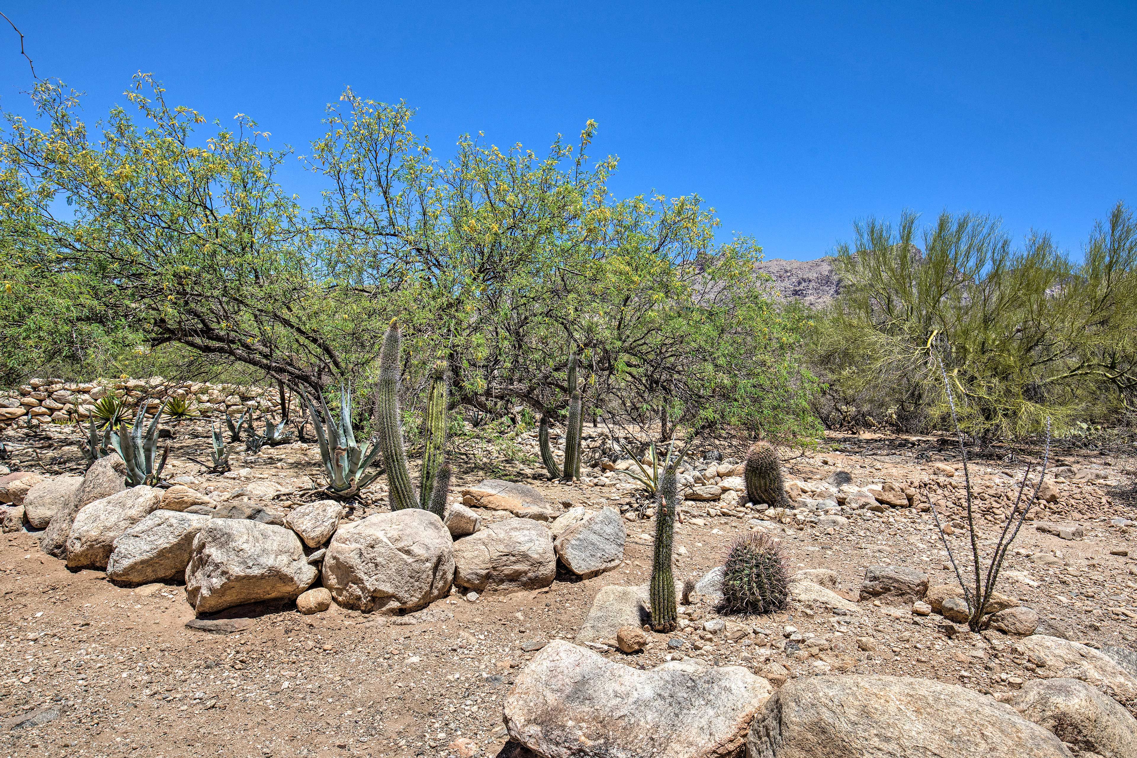 Surrounding Land