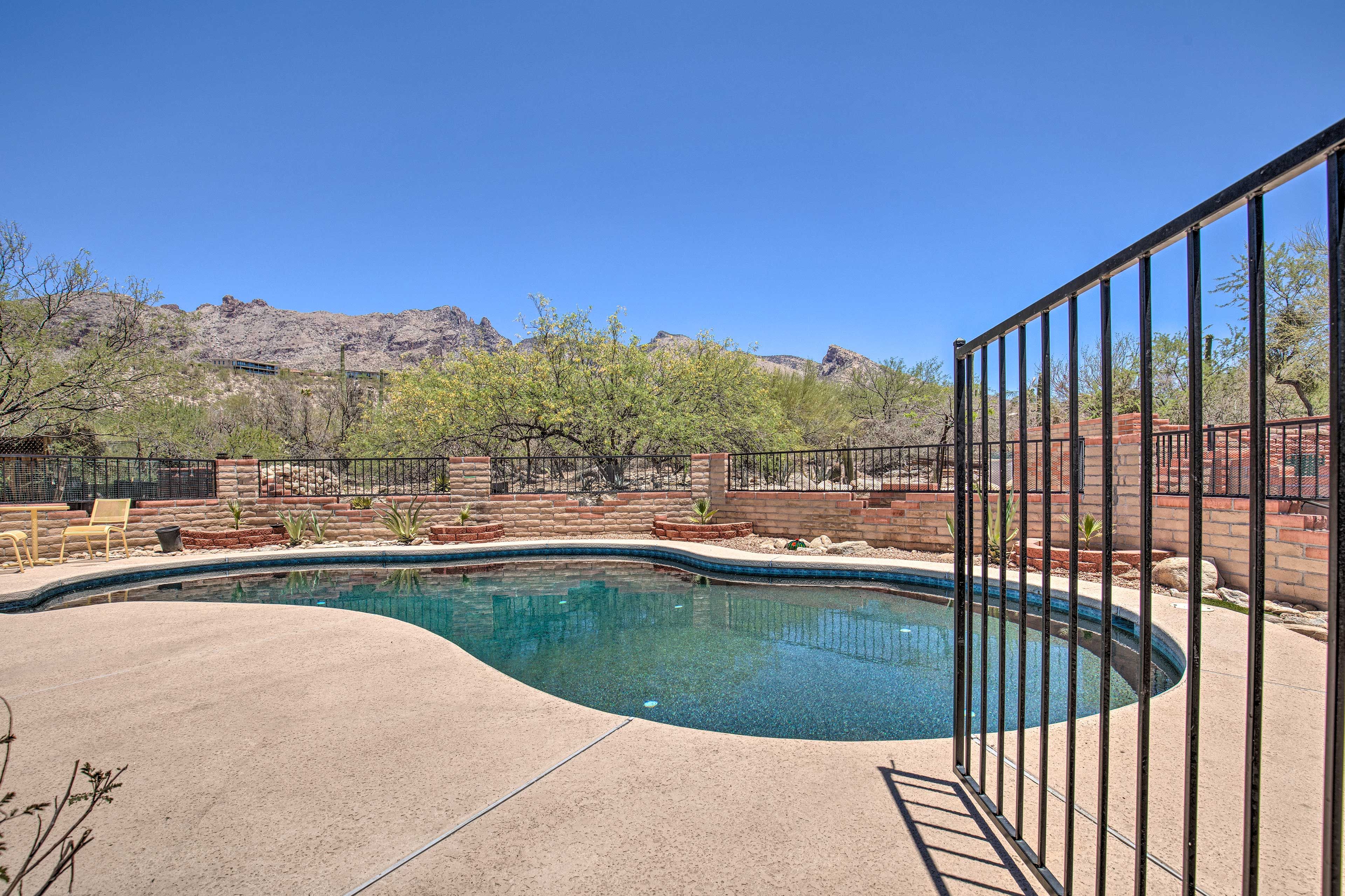 Private Backyard