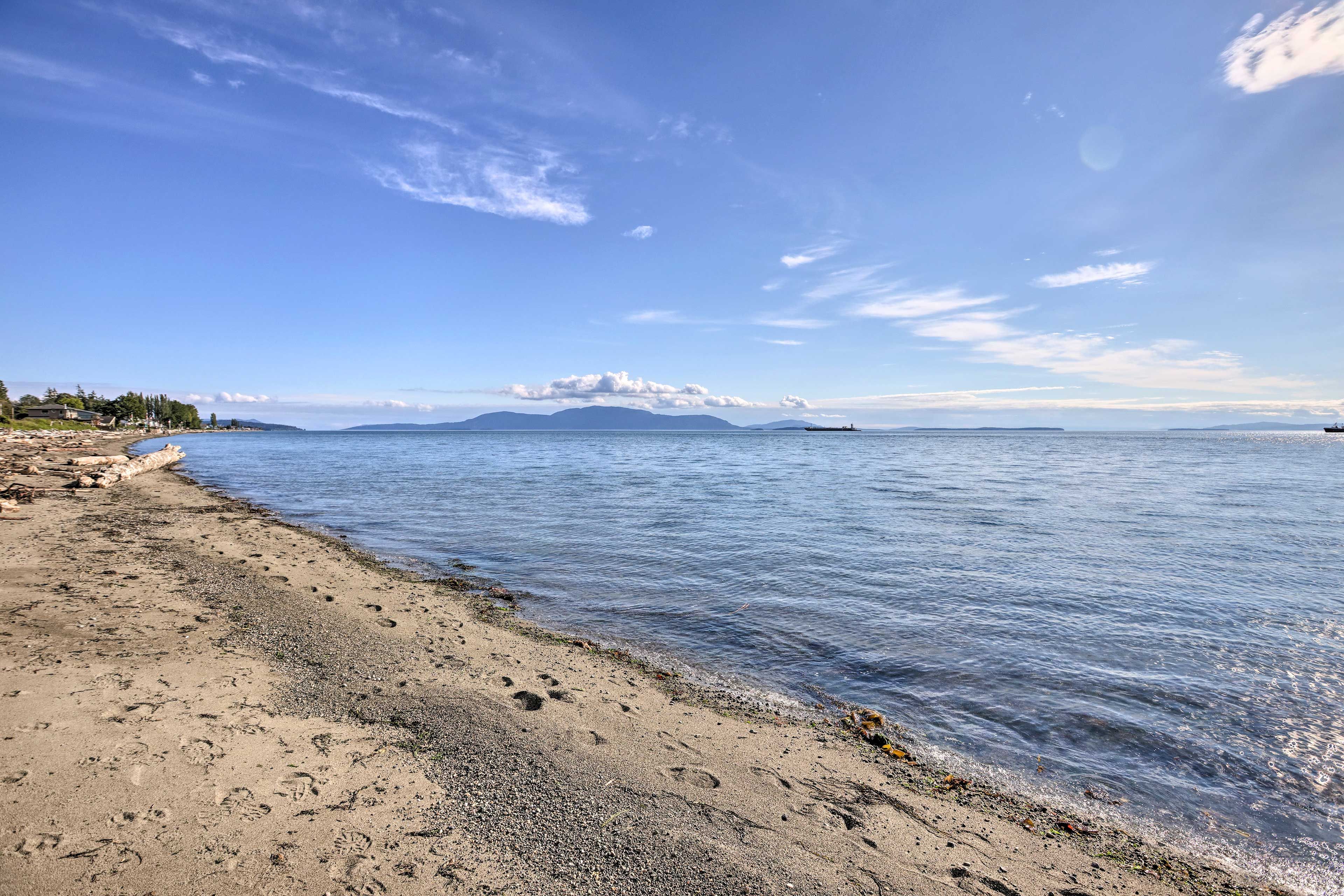 View from the Beach
