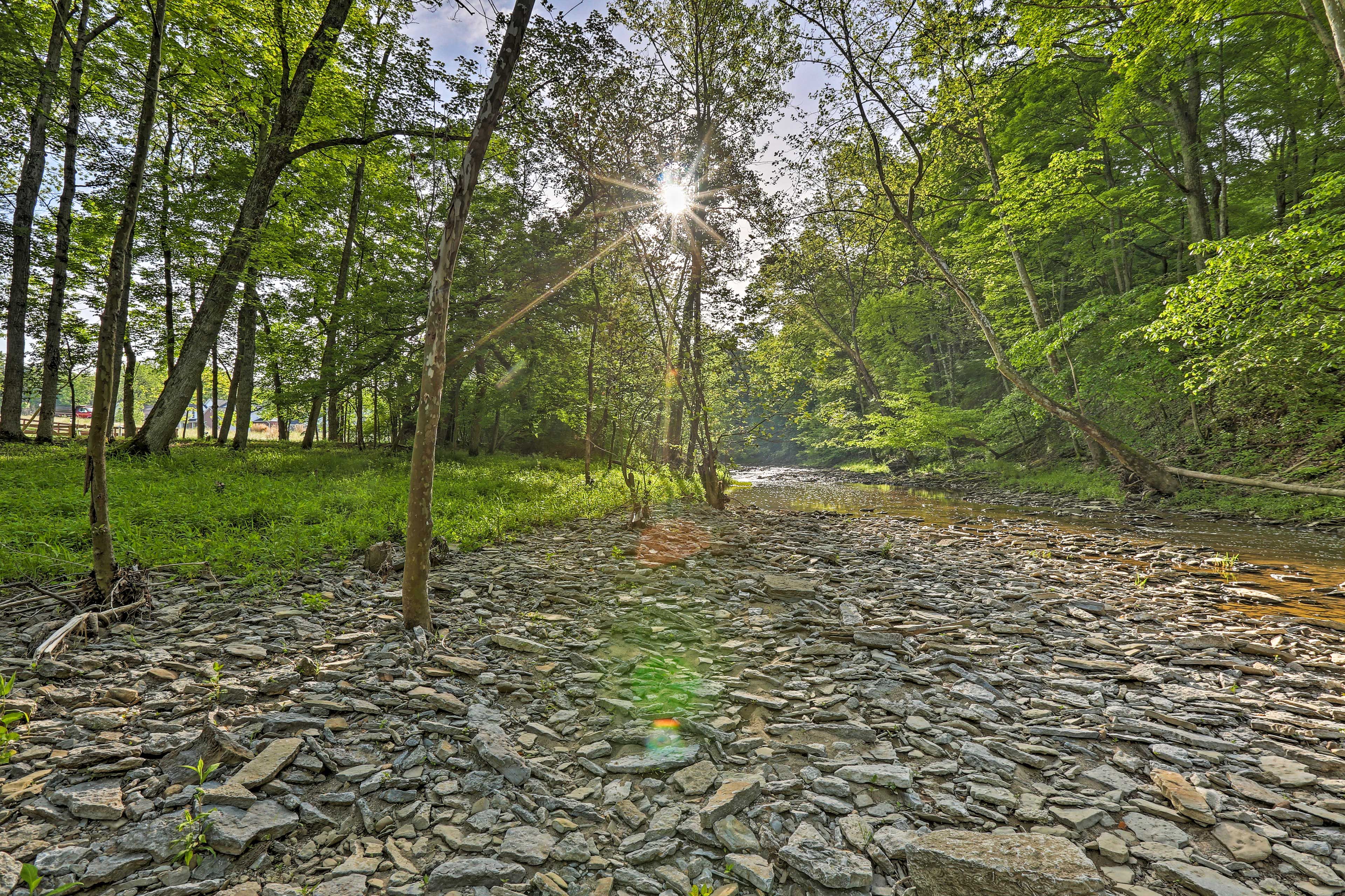 Private Yard | Direct Creek Access