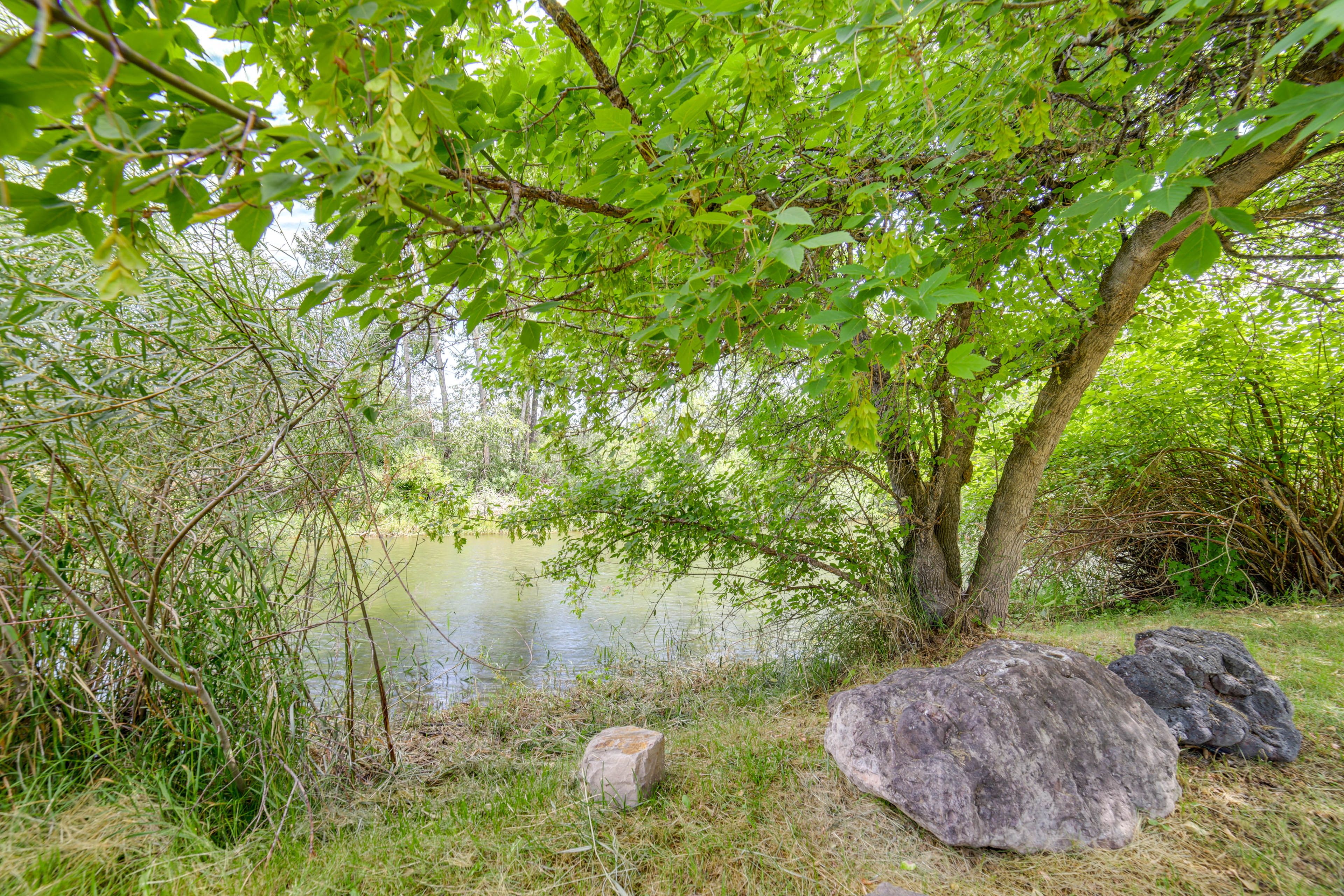 Image 31