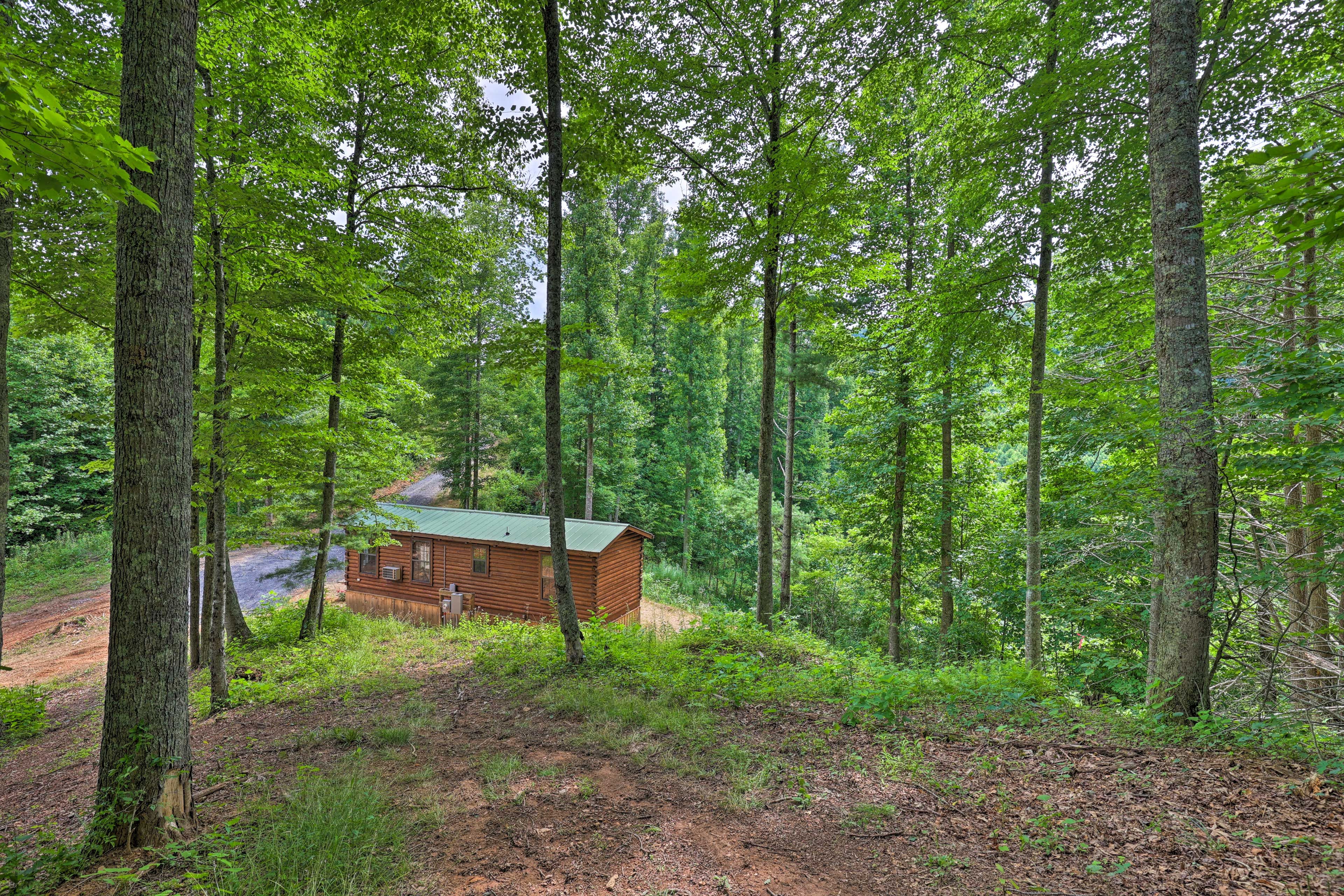 Cabin Exterior