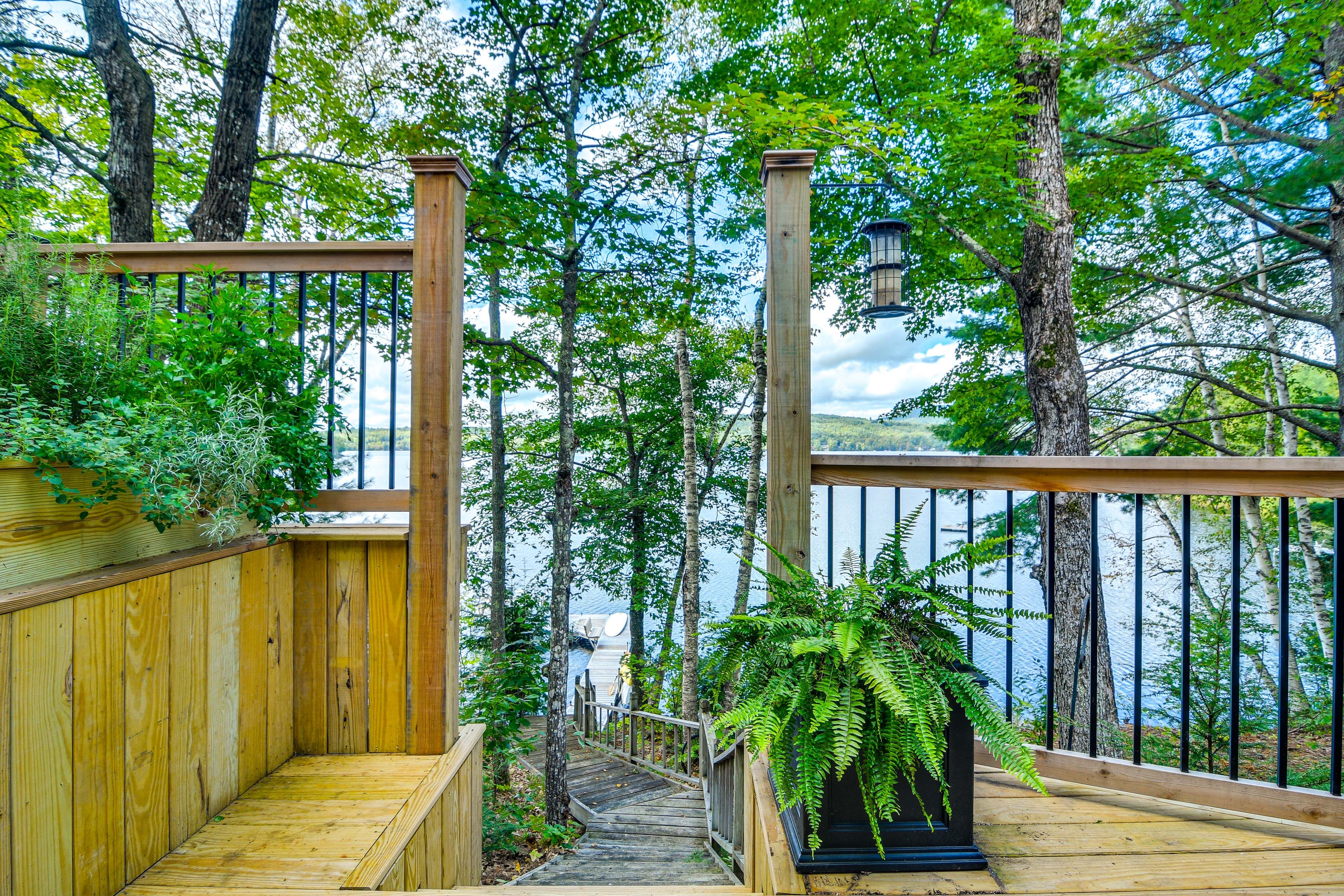 Pathway to Pond