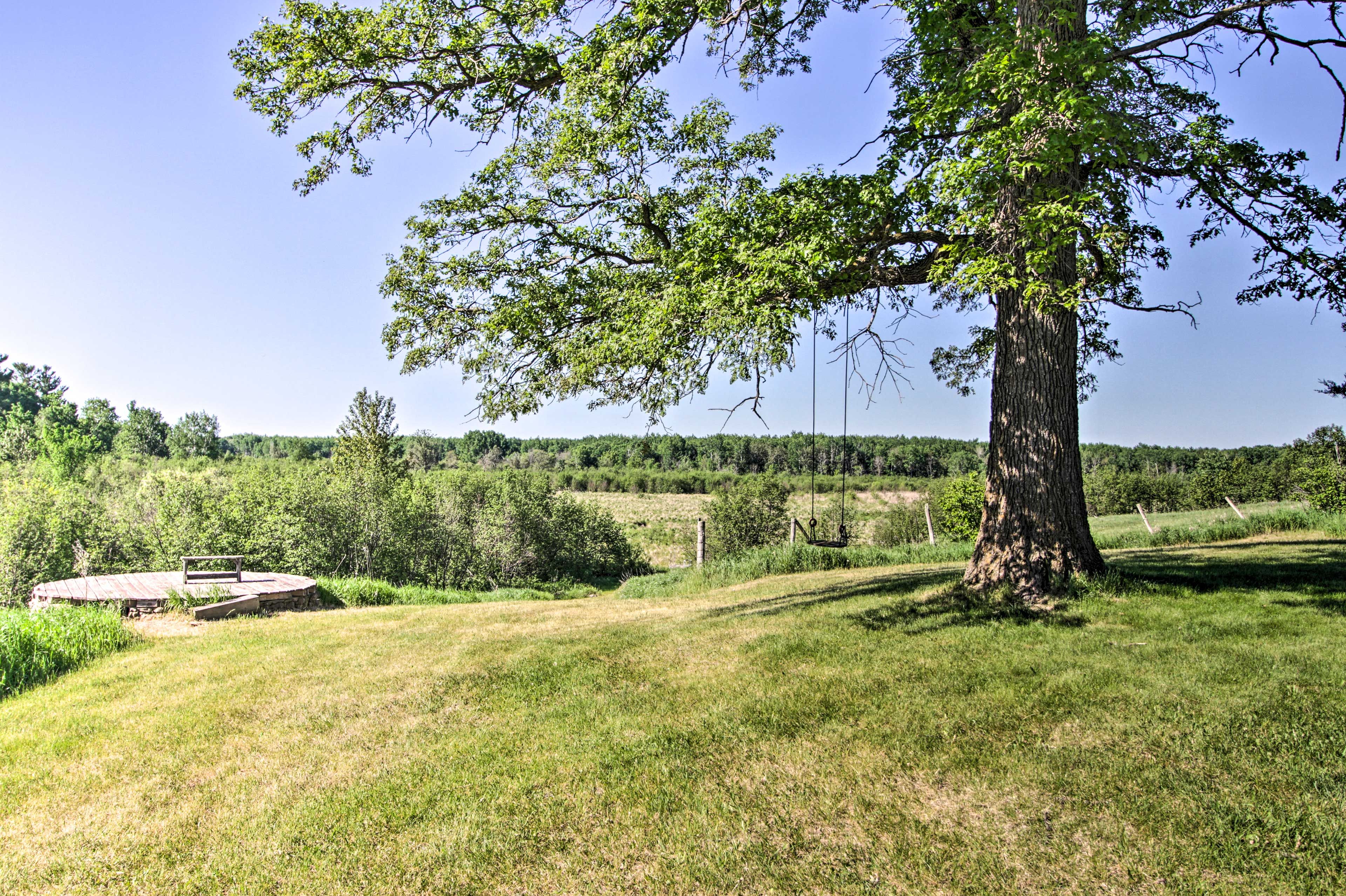 Private Backyard