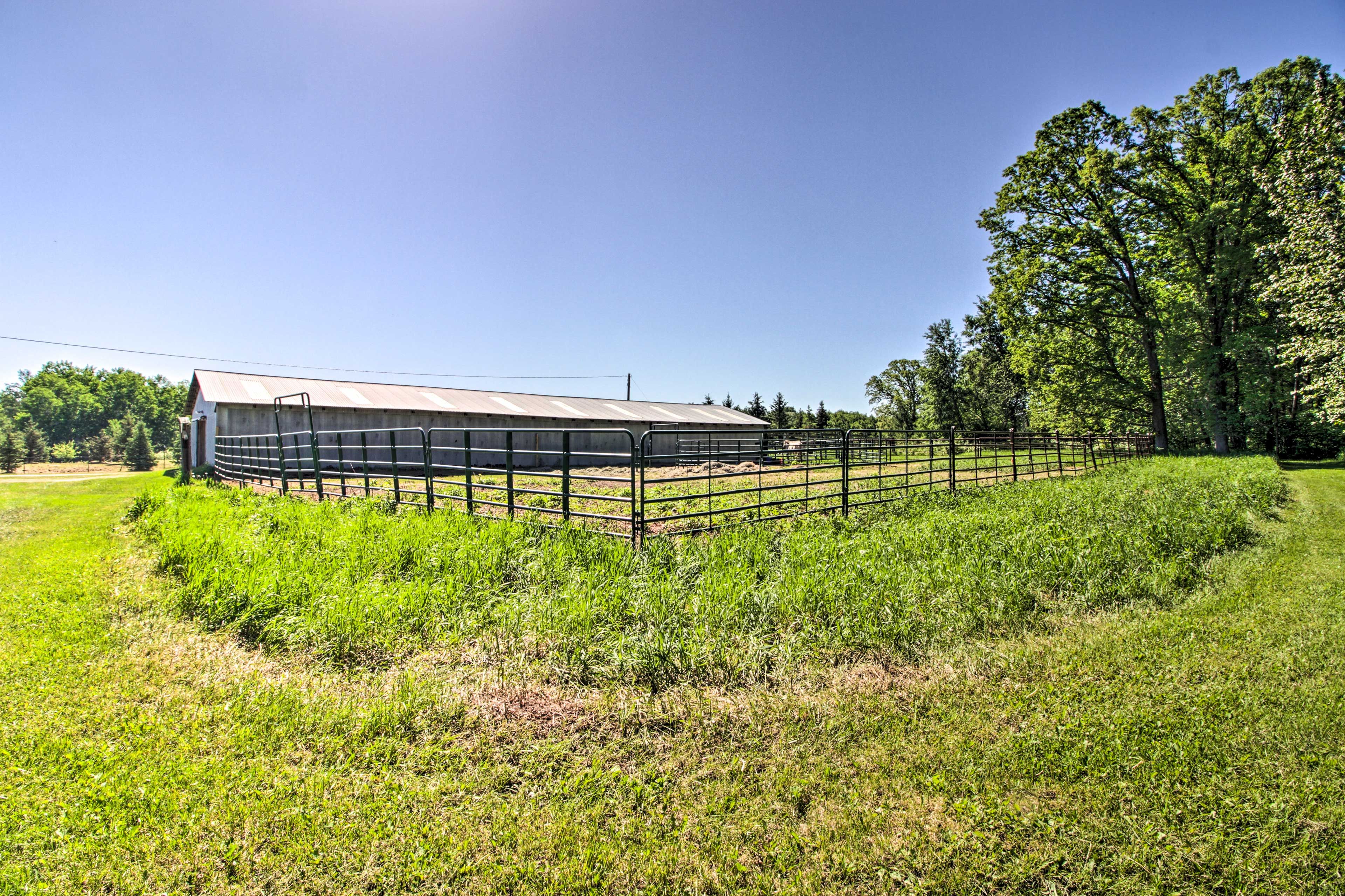 Horse Stables On-Site