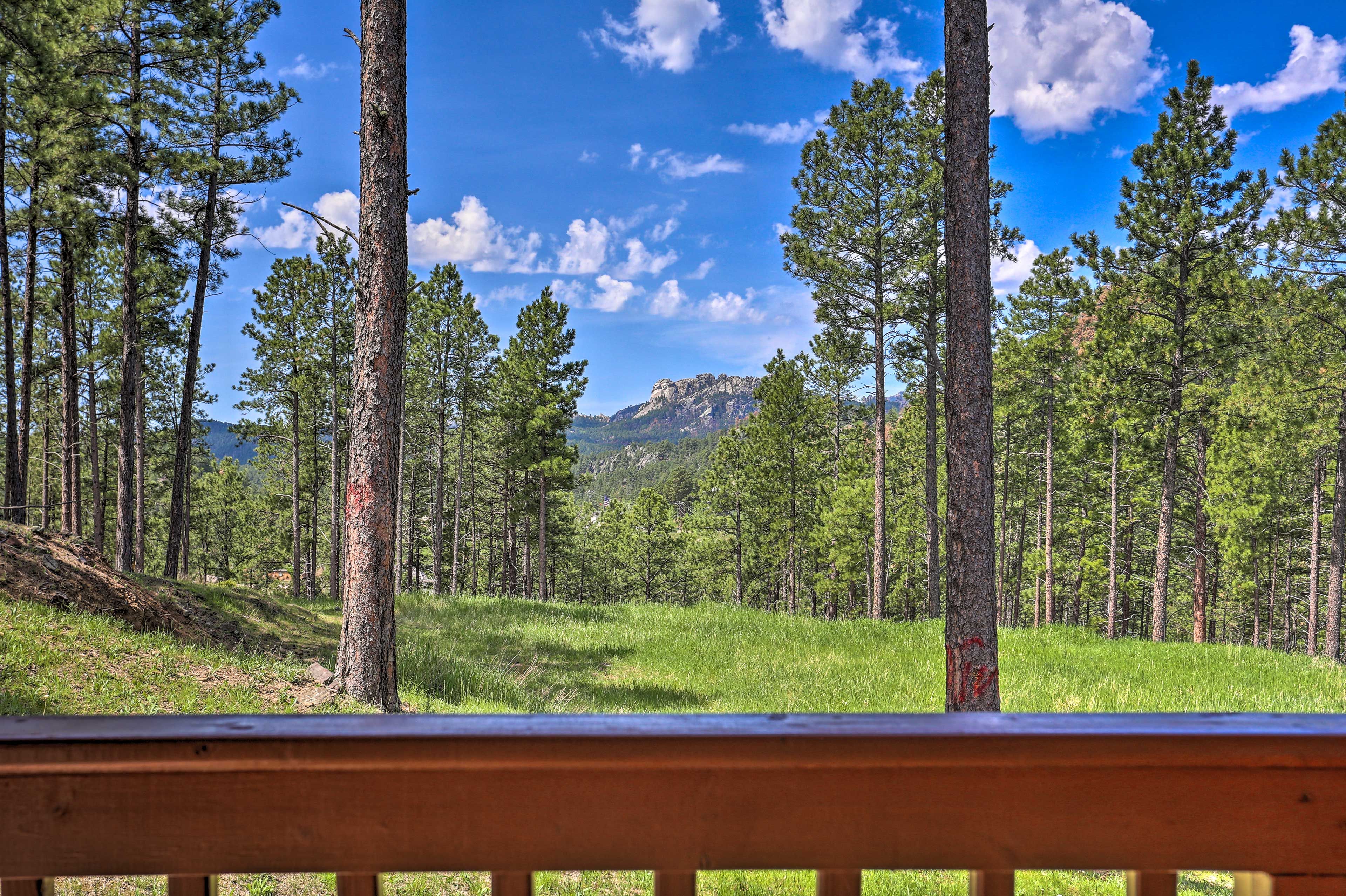 Deck | Mt Rushmore View
