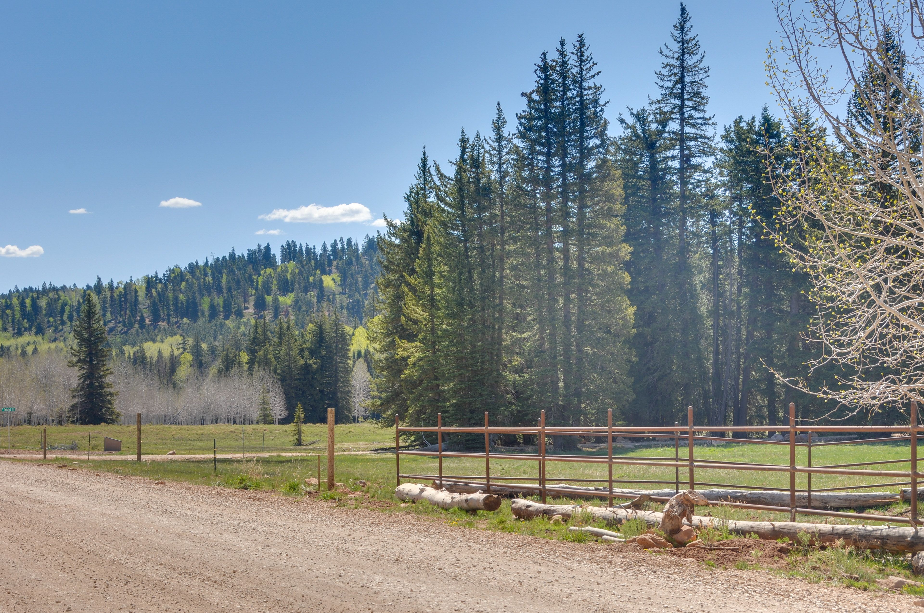 Neighborhood | Tucked Away, Forested Location | Pet Friendly w/ Fee