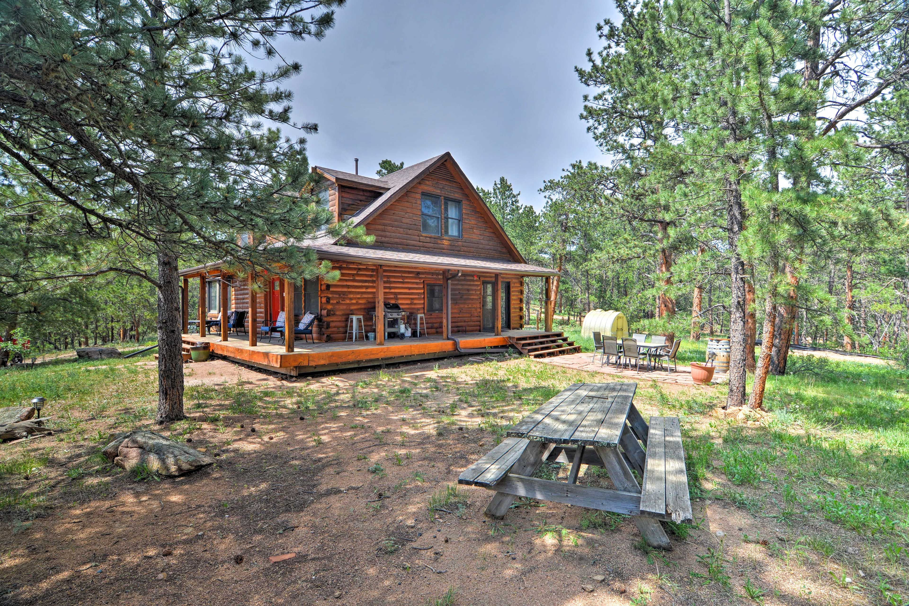 Backyard | Picnic Table