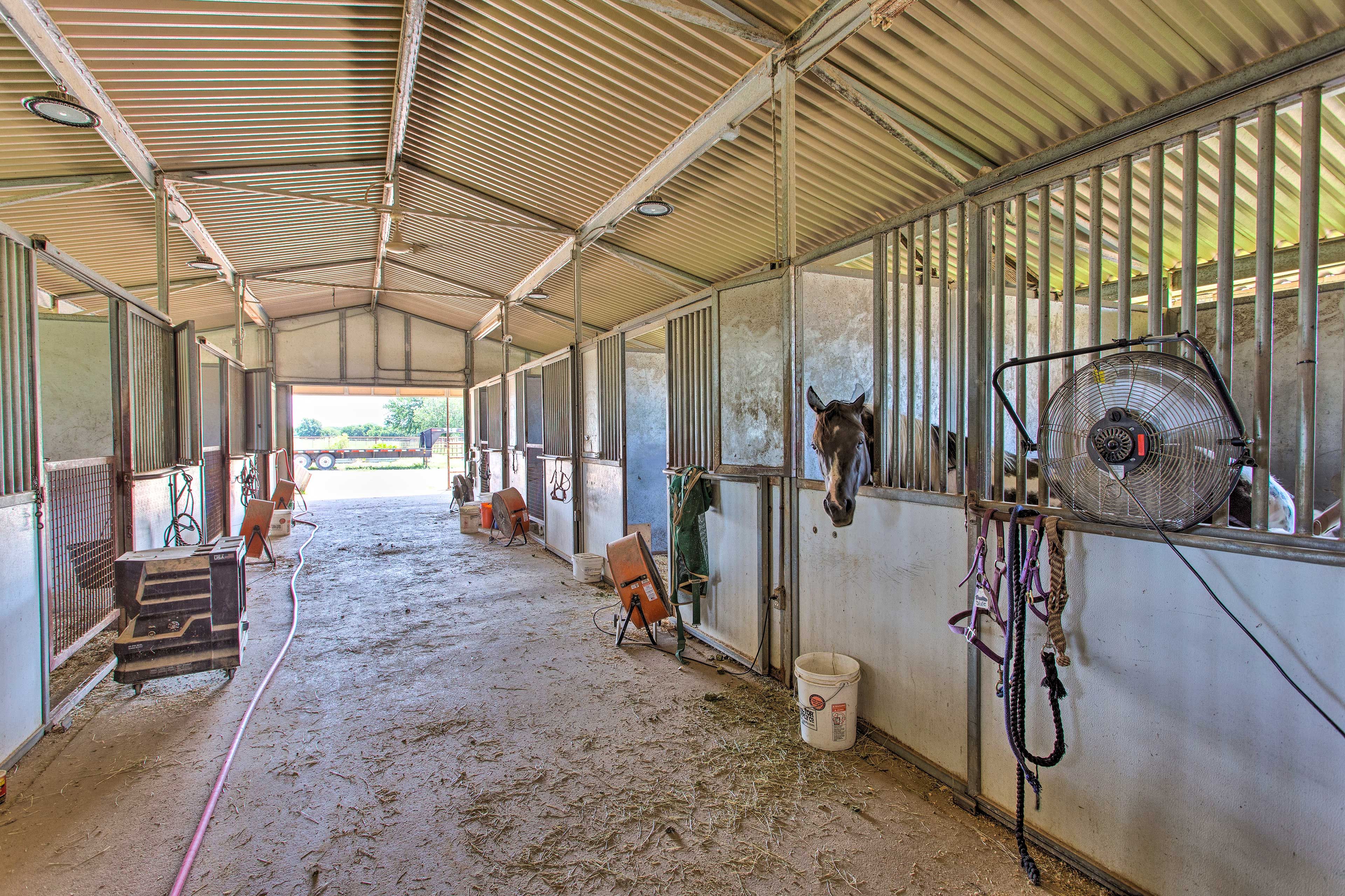 Horse/Cattle Ranch