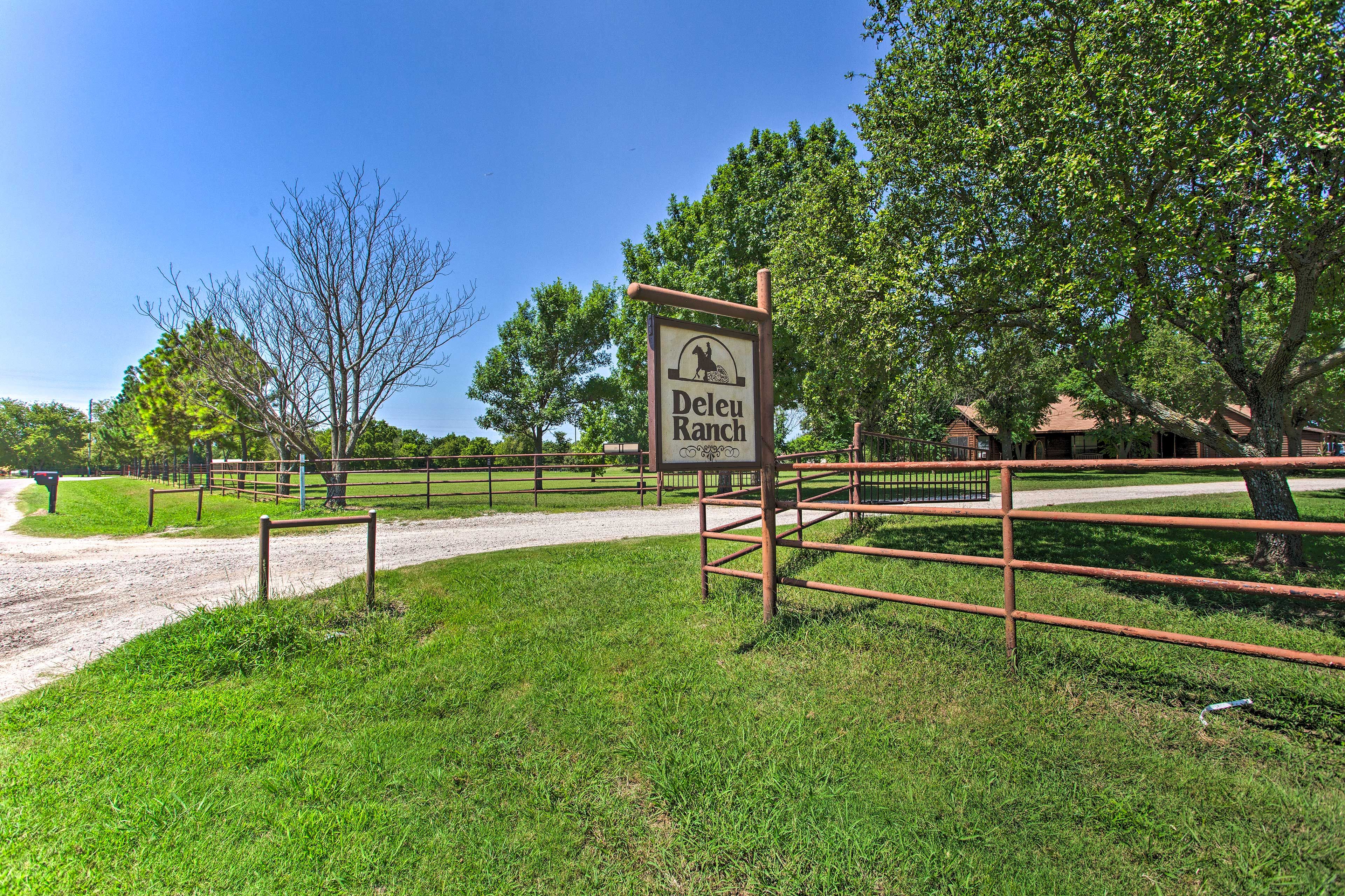Horse/Cattle Ranch