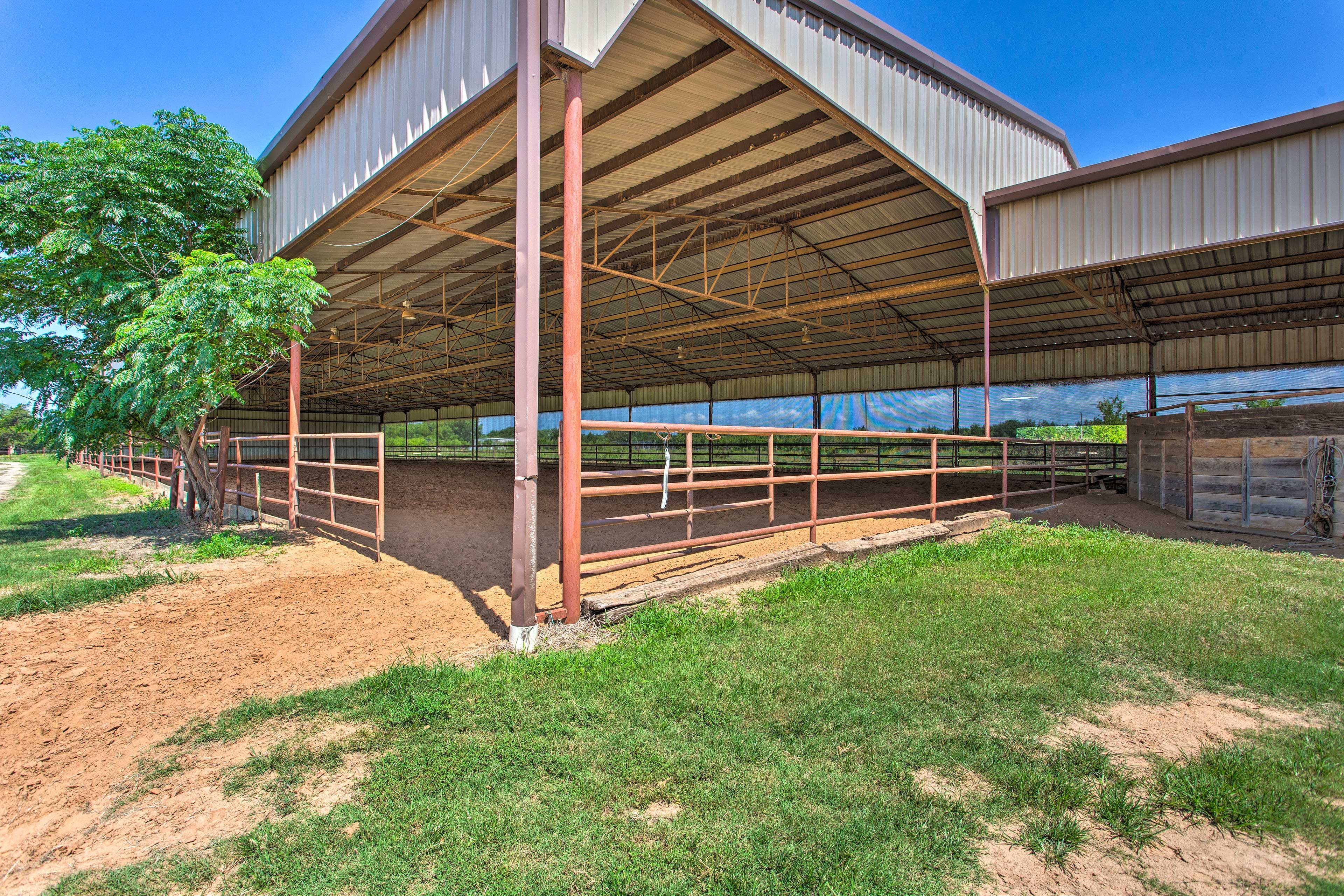 Horse/Cattle Ranch